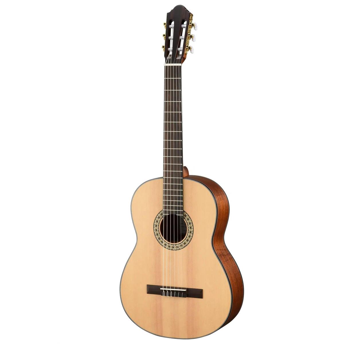 Walden-N550E-Classical-Guitar1 | Terry Carter Music Store