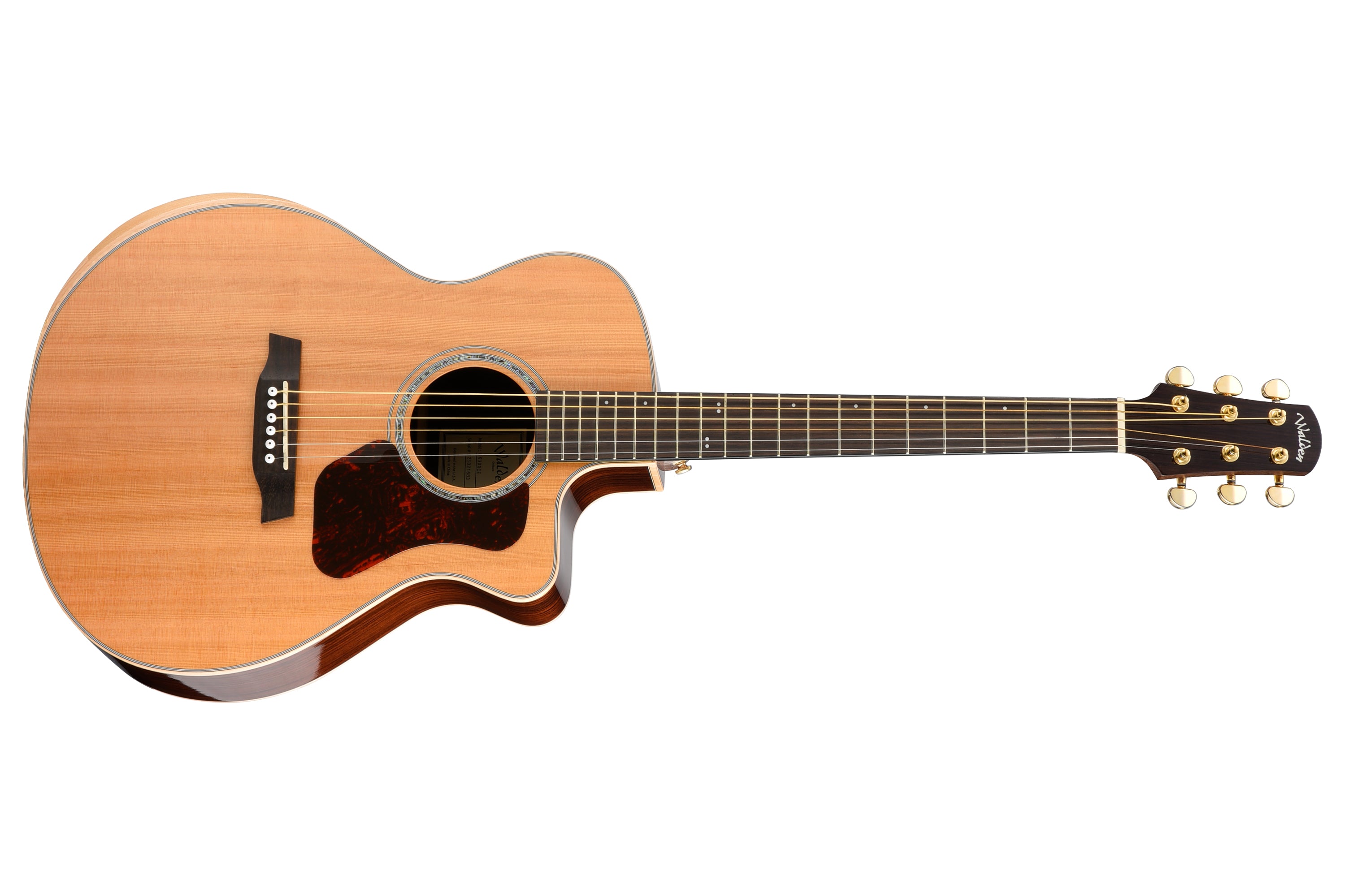 Walden Natura G630RCE-G Guitar