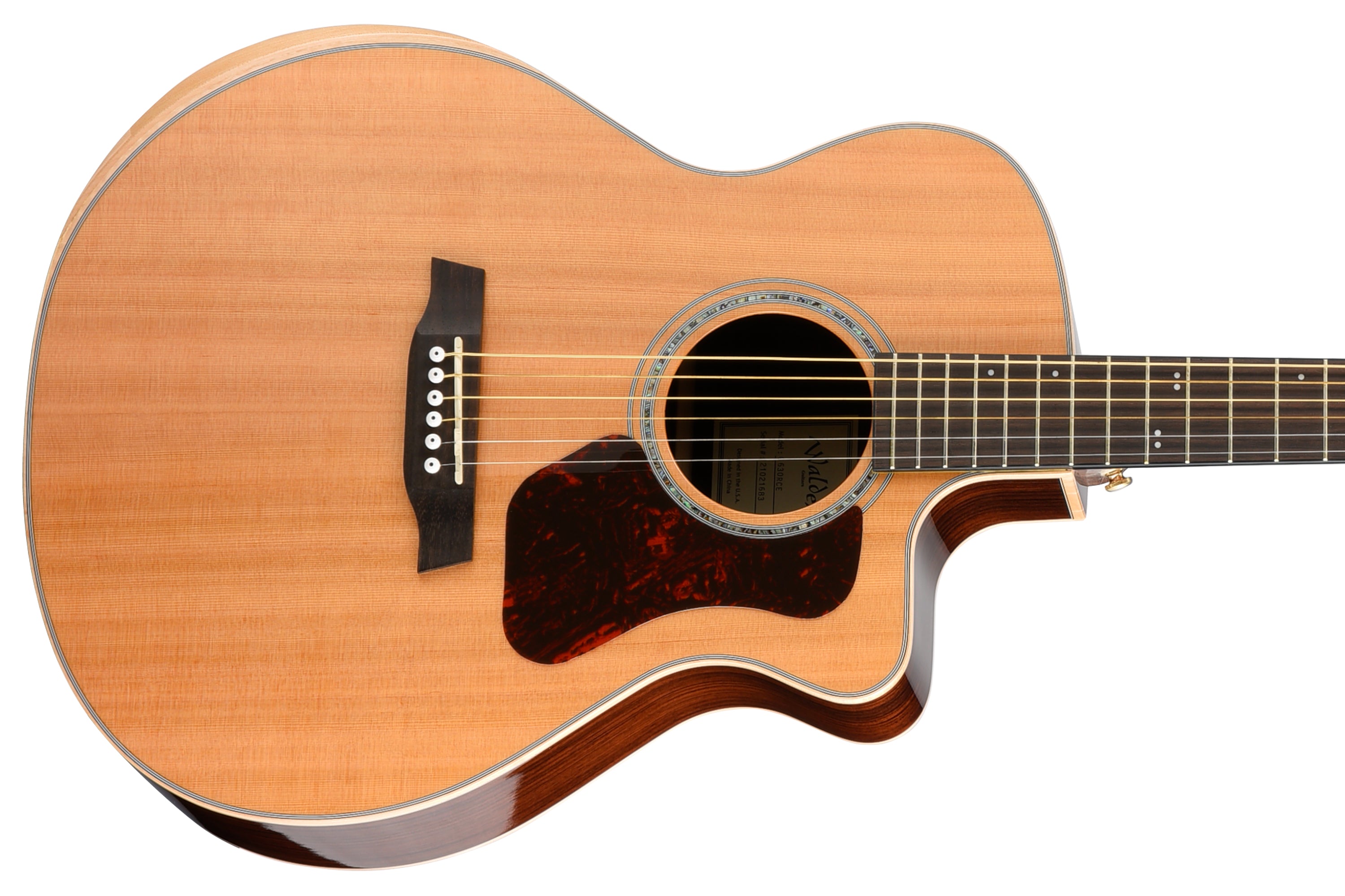 Walden Natura G630RCE-G Guitar