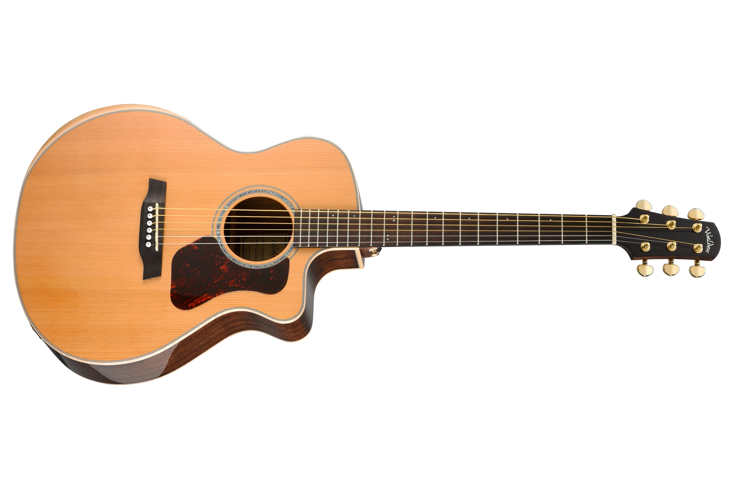 Walden Natura G633RCE-G Guitar