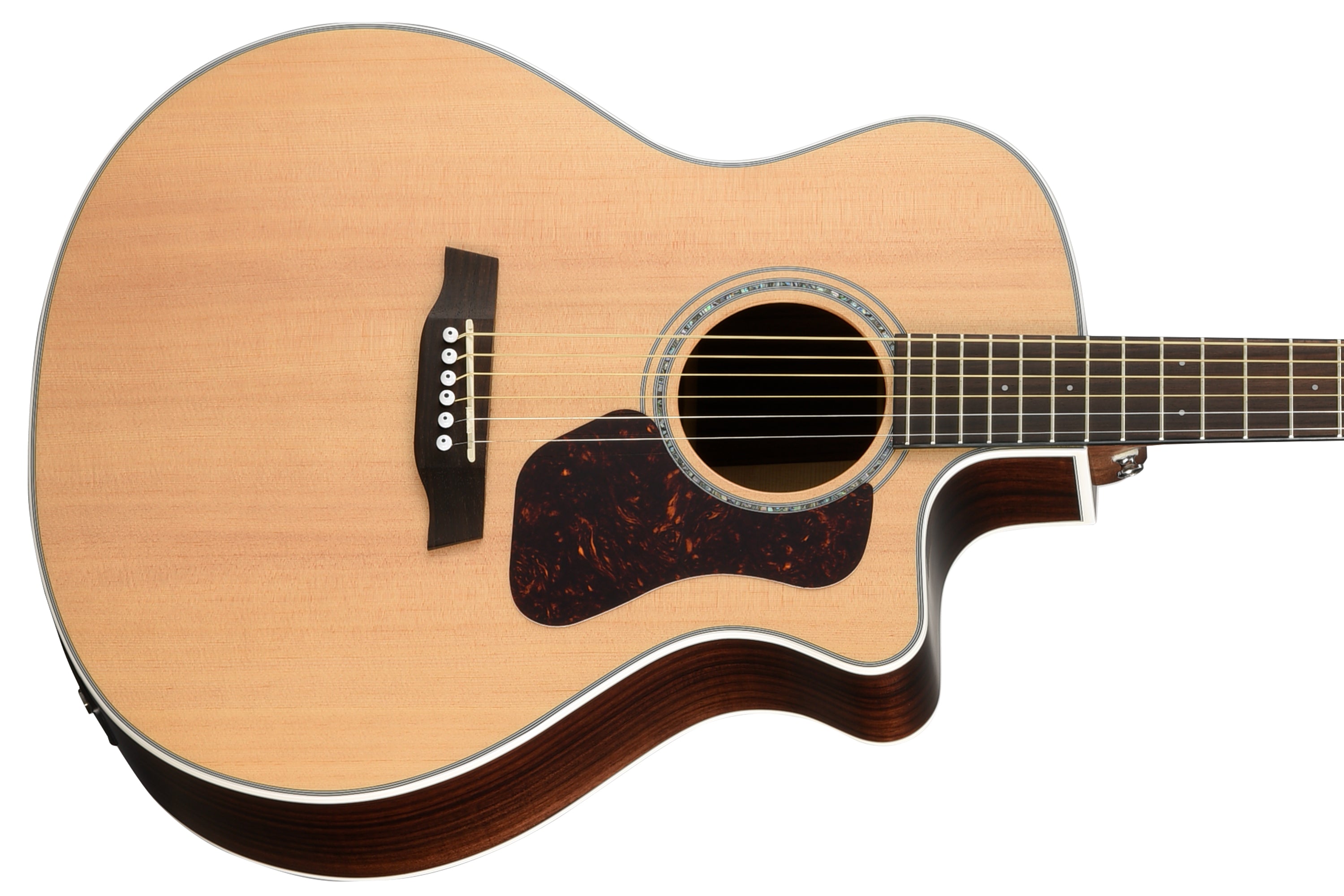 Walden Natura G800CE Guitar