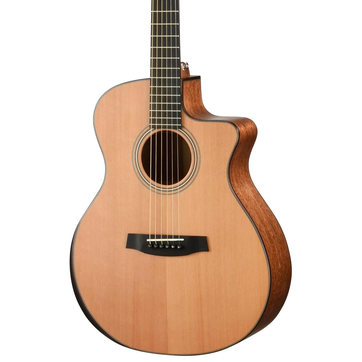 Walden-SupraNatura-G2070RCE-Guitar2 | Terry Carter Music Store