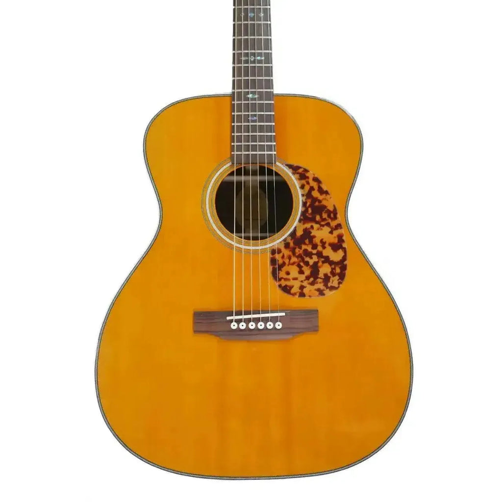 Blueridge BR-163 Acoustic 000 Guitar - Terry Carter Music Store