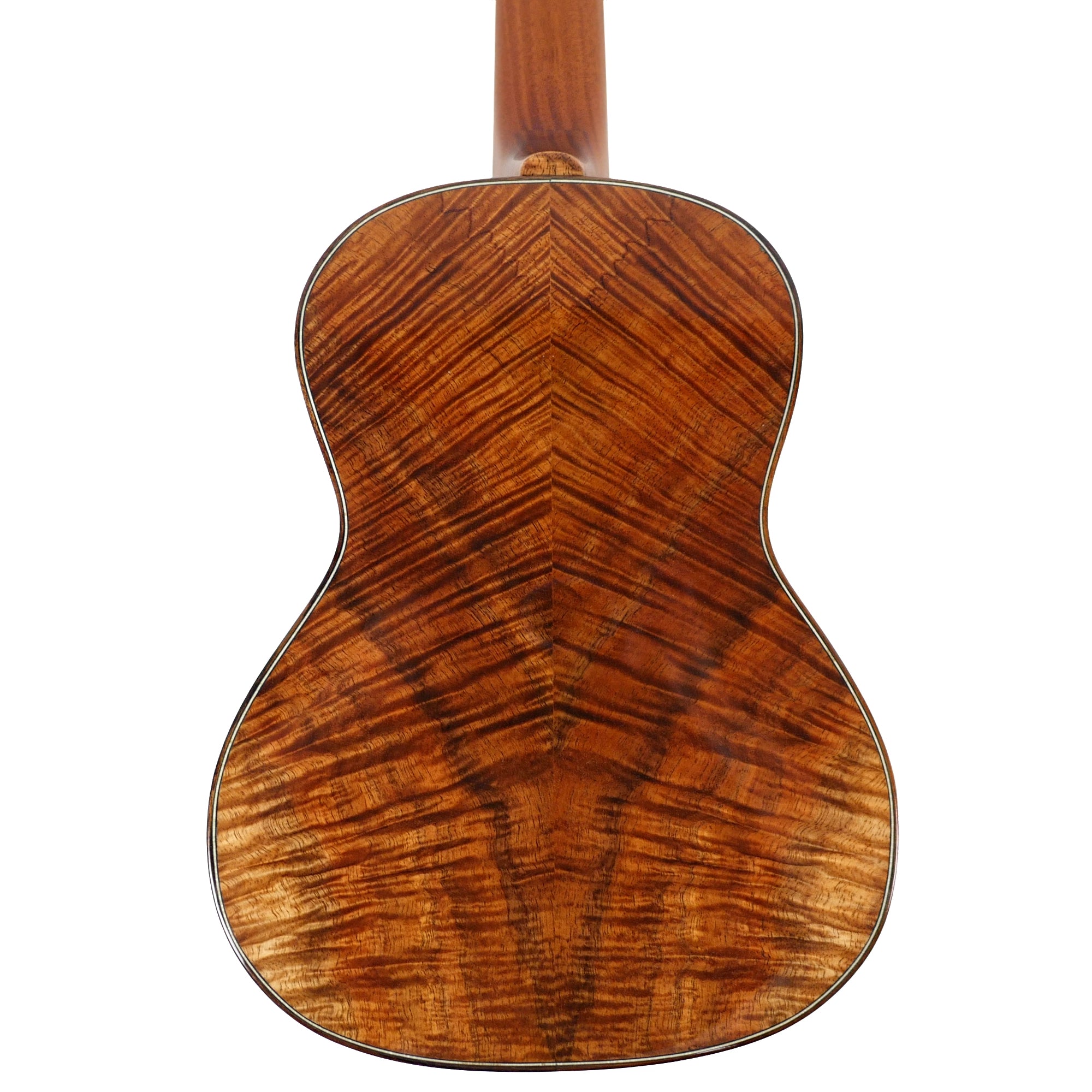 Back view of Coast #112 tenor ukulele featuring a curly Hawaiian koa wood body with a glossy finish.