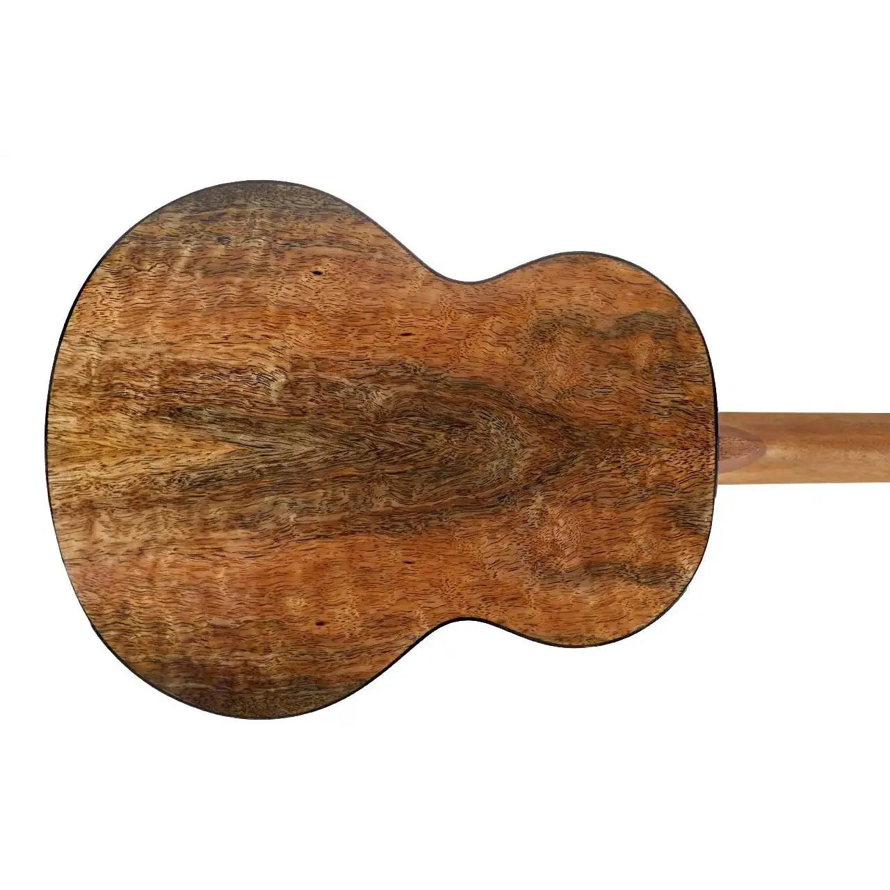 Back of a Flight Lily EQ-A Baritone Ukulele, showing its rich, dark brown mango laminate wood grain.