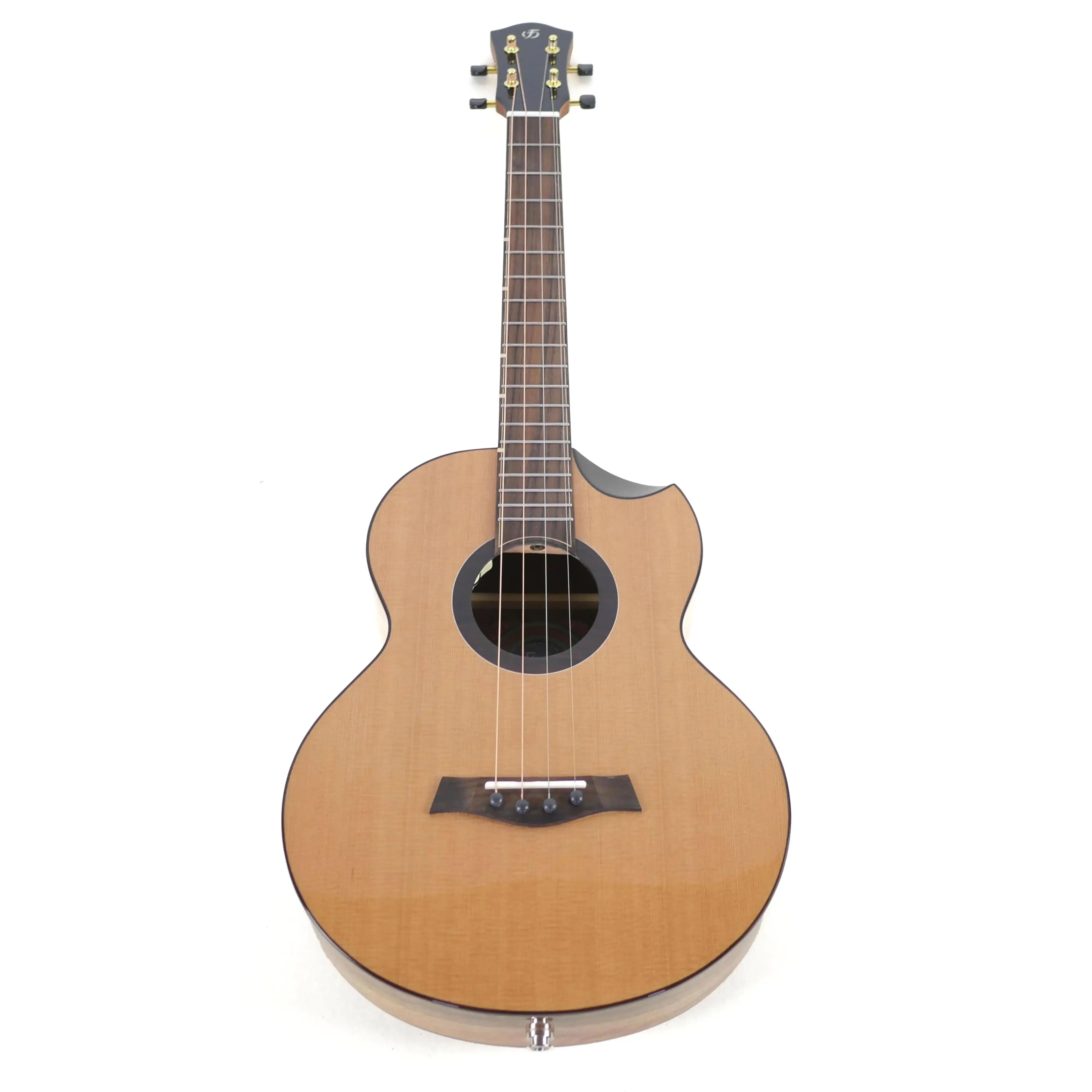 Flight Lily EQ-A Baritone Ukulele with solid cedar top, mango back/sides, rosewood fretboard, and gold tuners.