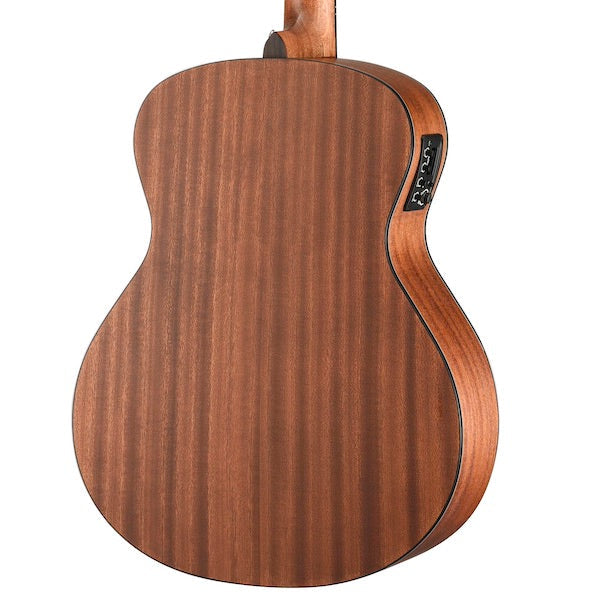 Walden G550REAB-G soundhole and rosette detail