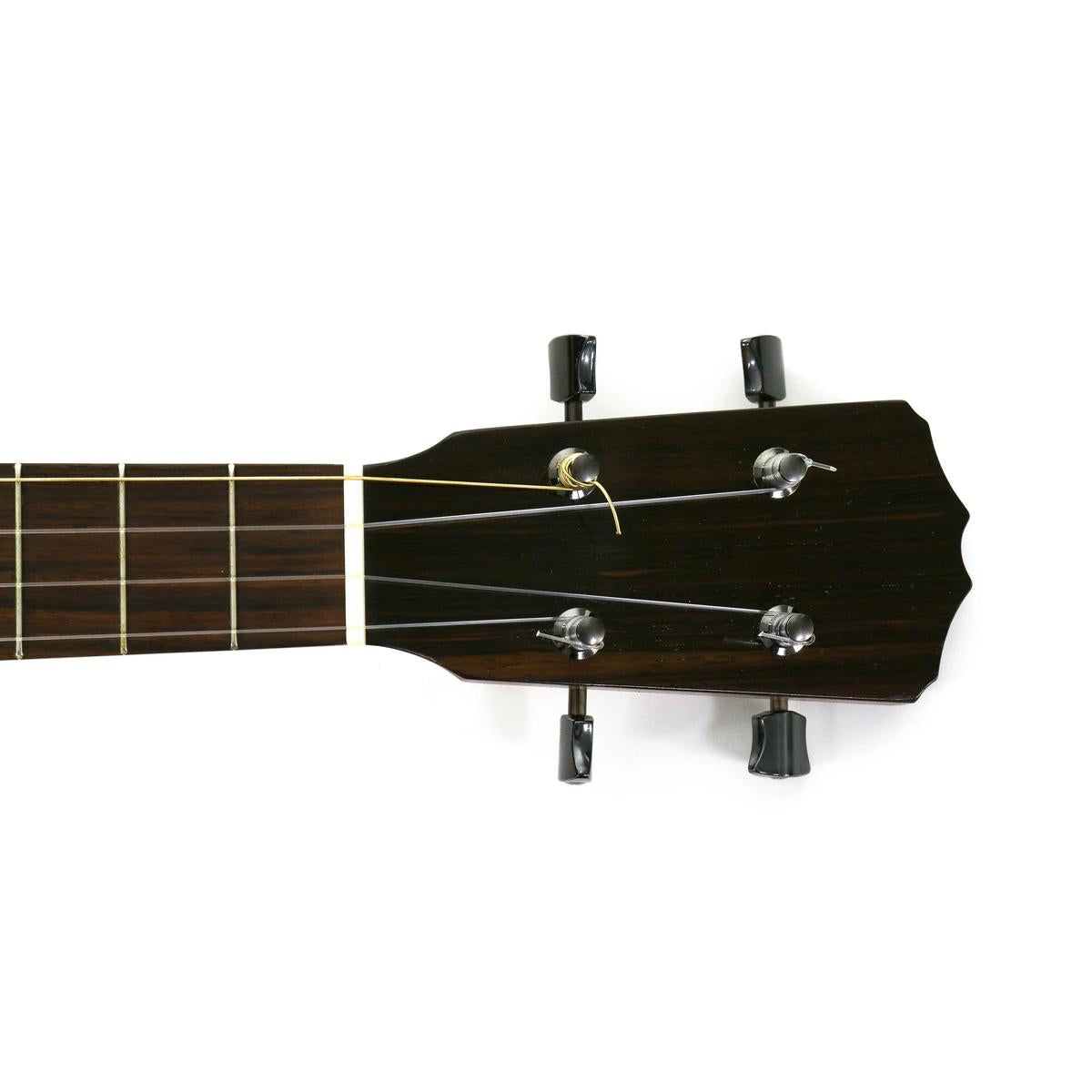 jb7cskvzz5qs0sok53rj | Terry Carter Music Store