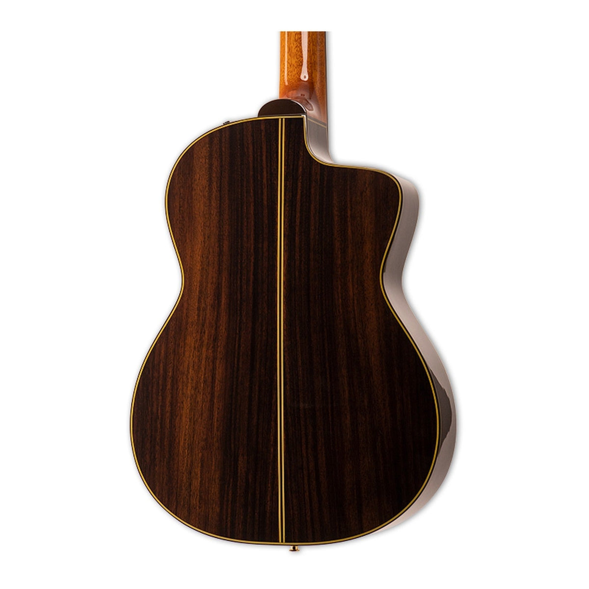 Mirrored from the right-handed model to show the left-handed layout: back of the Takamine EH5C body in dark-striped solid rosewood with a thin center strip, gloss finish.