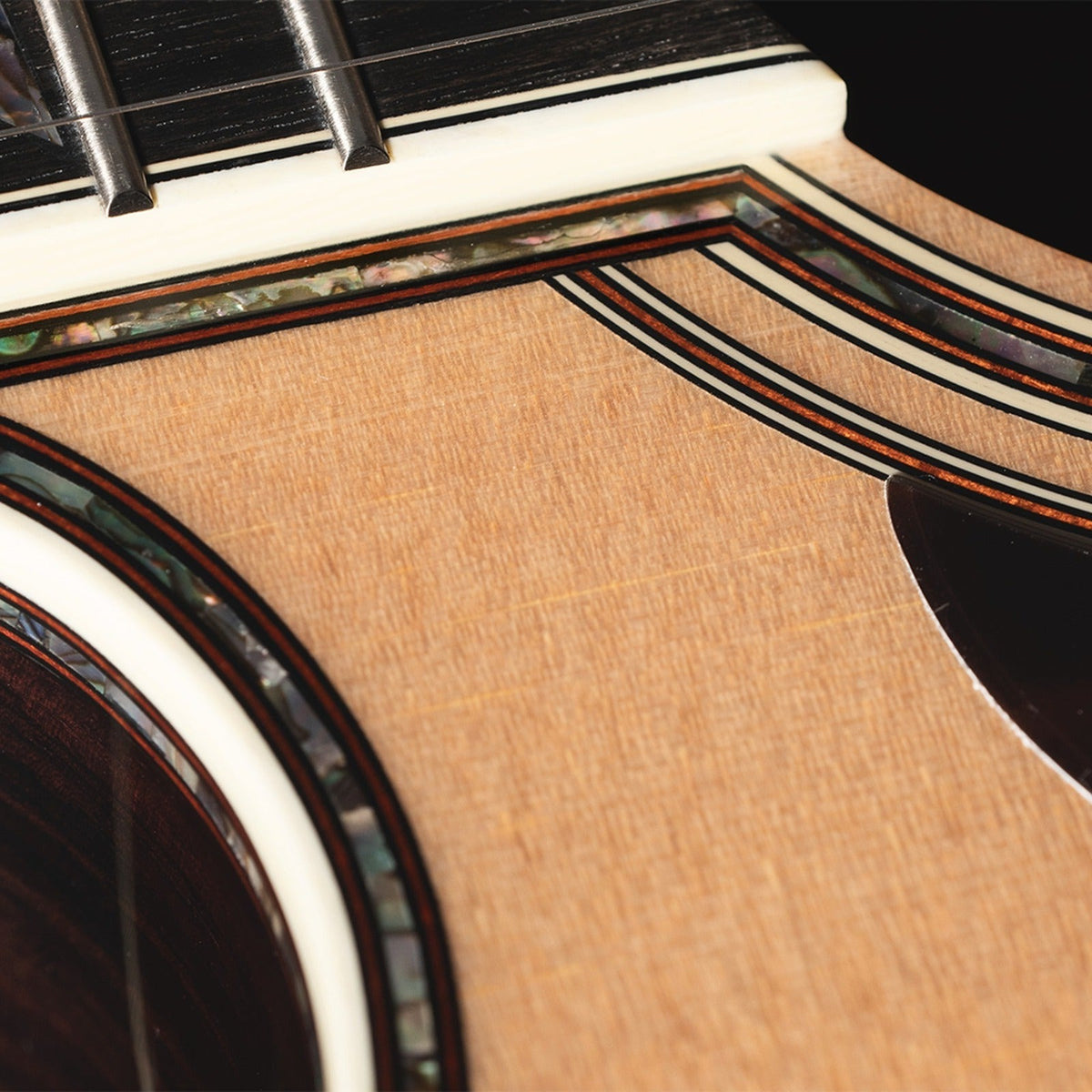 Mirrored from the right-handed model to show the left-handed layout: close-up of the Takamine P10DC cutaway with abalone purfling and binding.