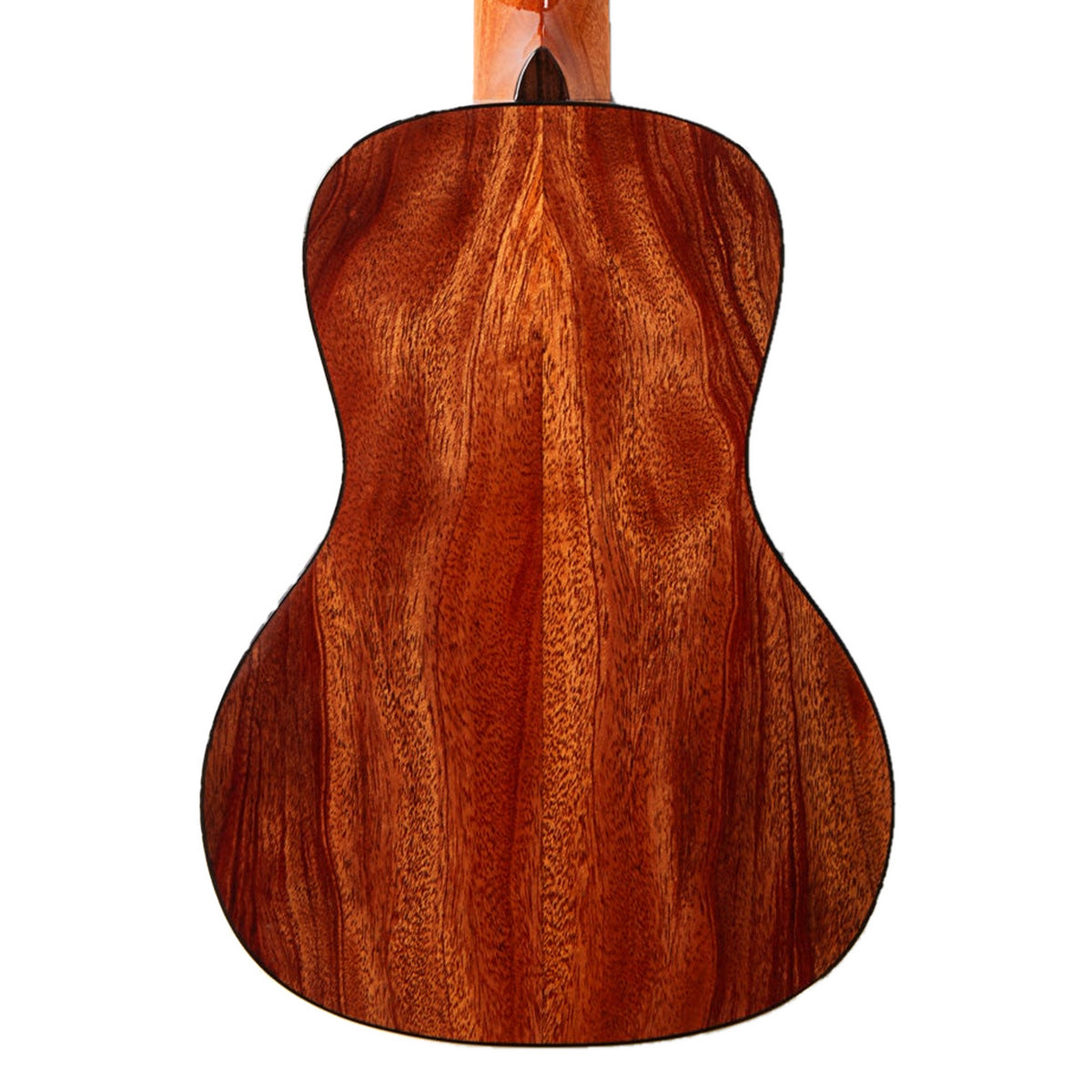 Back of the Kala KA-TARO-ASMH-C 8-string Taro Patch concert ukulele, solid mahogany back with rope binding