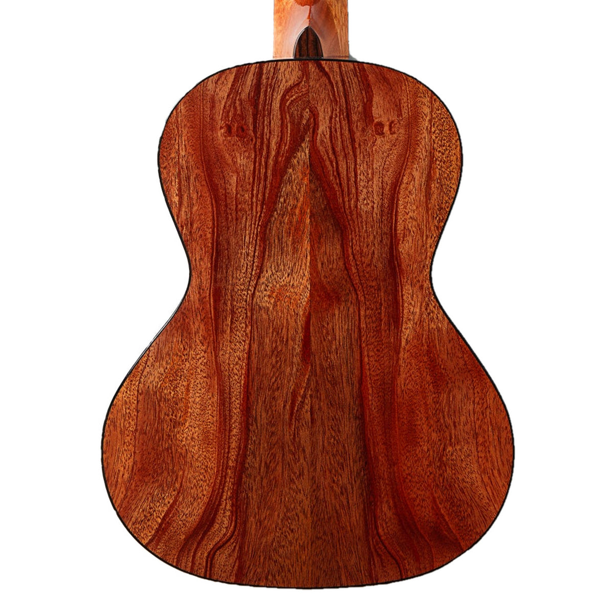 Back of the Kala KA-TARO-ASMH-T 8-string Taro Patch tenor ukulele, solid mahogany back with rope binding