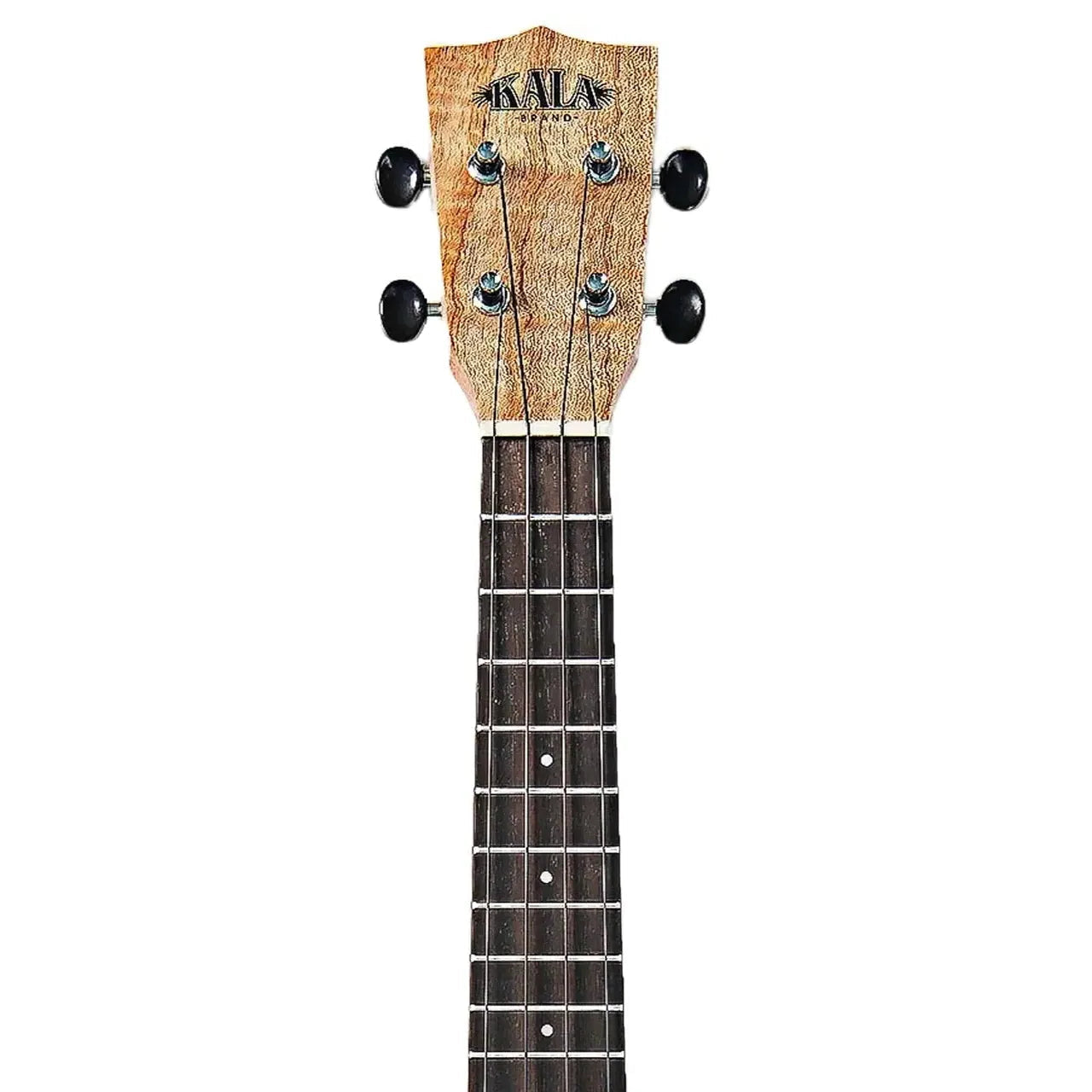Kala Cape Lilac Mahogany Concert Ukulele headstock with black tuners and rosewood fretboard.