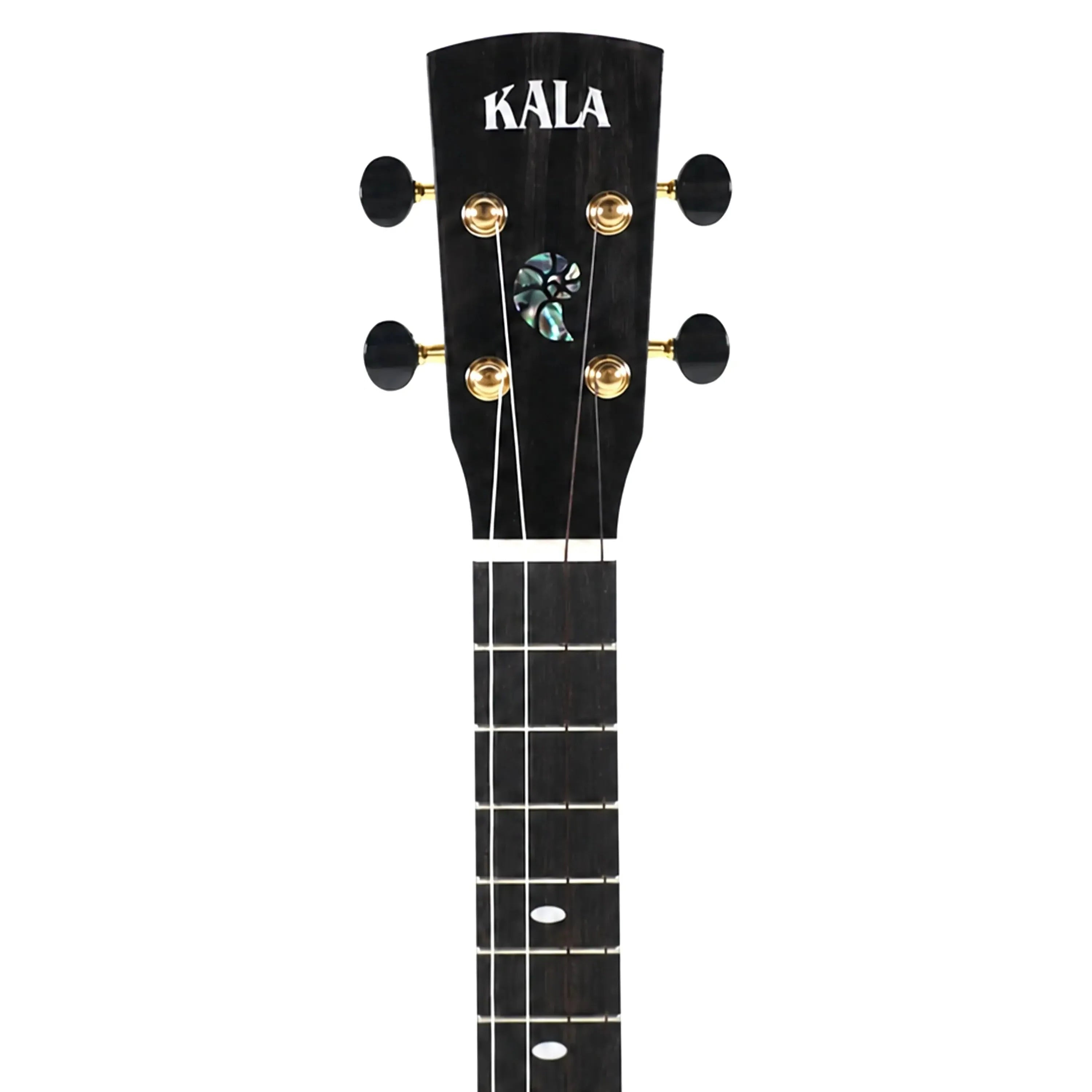 Kala Revelator Nautilus Horizon Tenor Ukulele headstock with black tuners and abalone inlay.