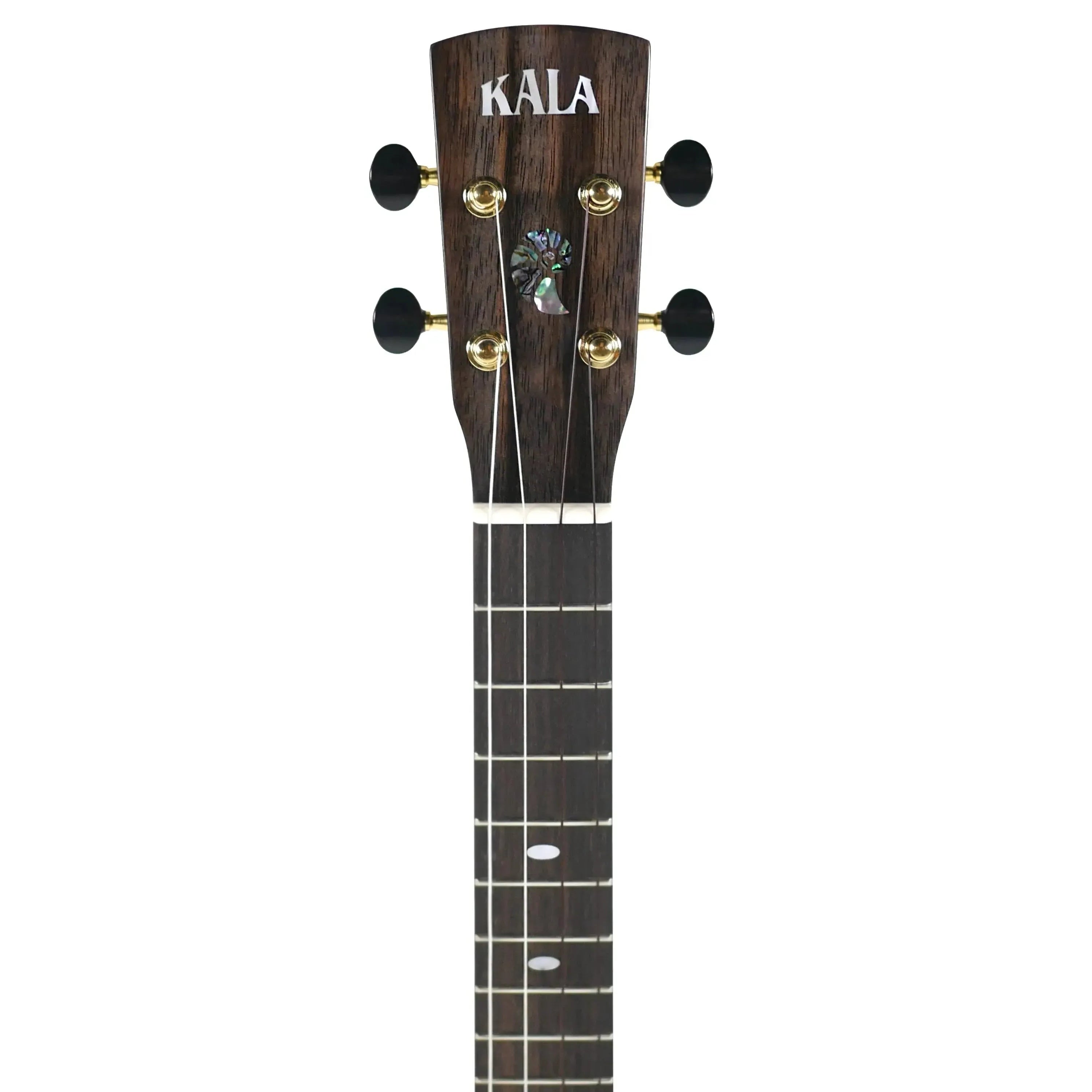 Kala Revelator Nautilus Horizon tenor ukulele headstock with black tuners and abalone tree inlay.