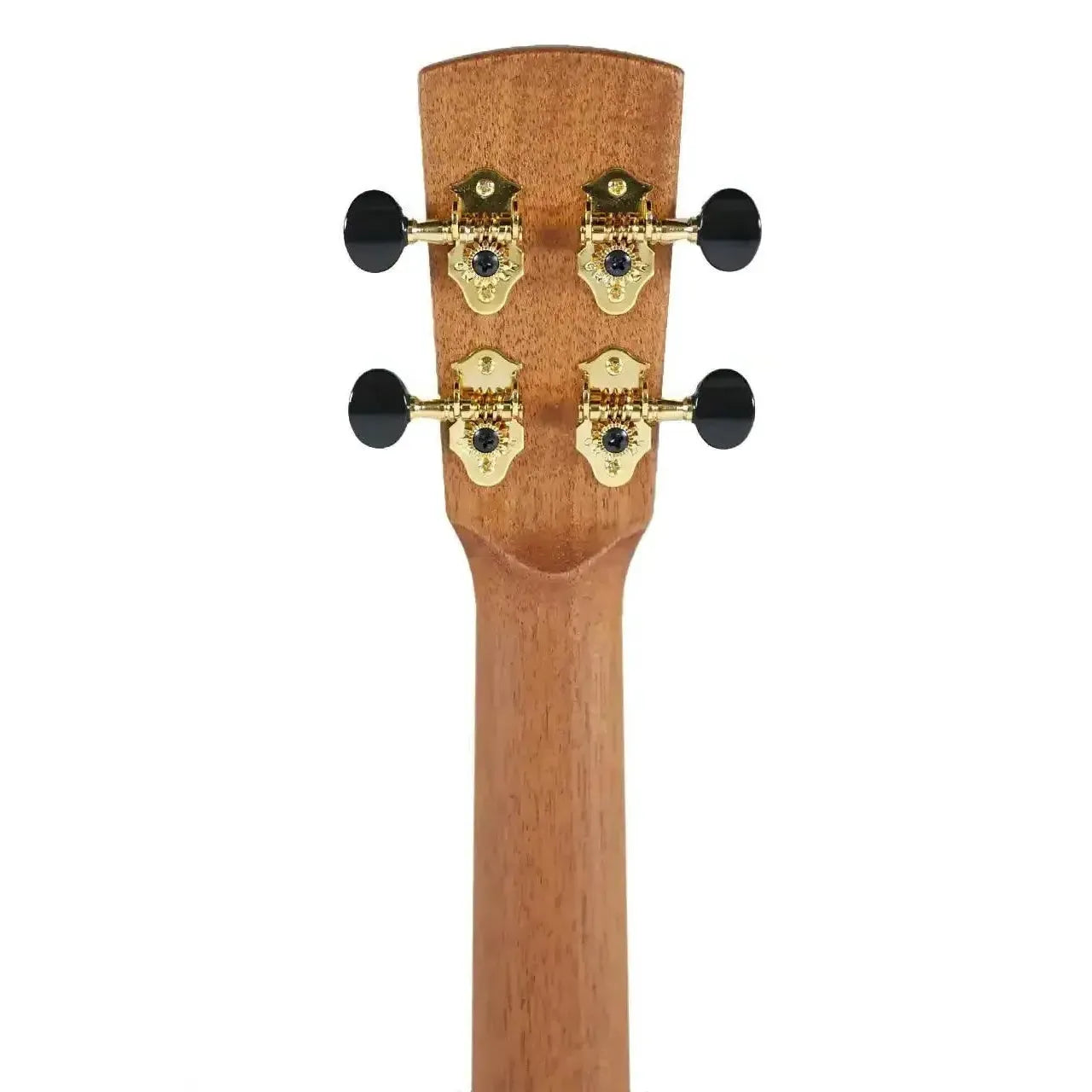 Kala Revelator Nautilus Baritone Ukulele headstock with gold Grover tuners and Hawaiian Koa wood.