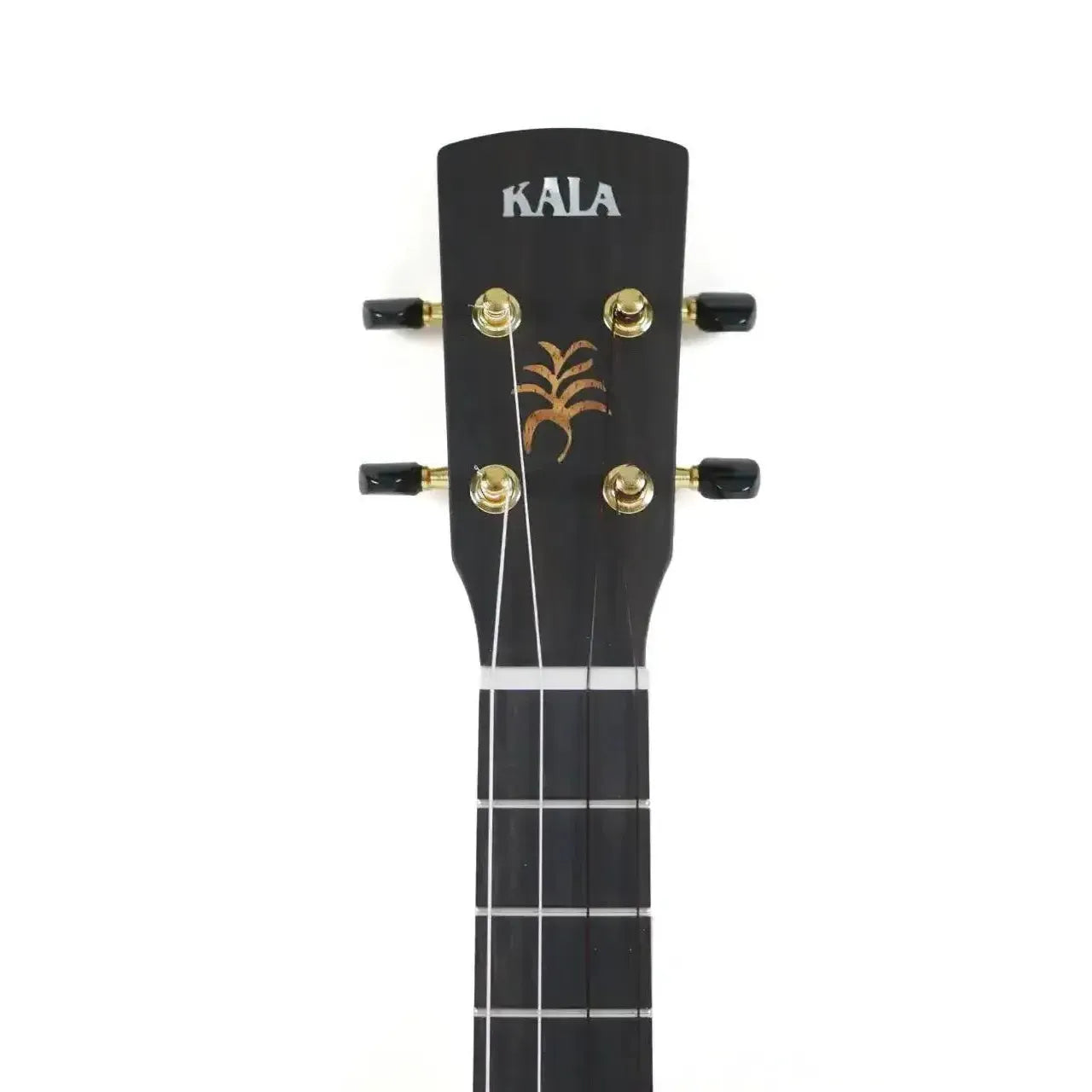 Kala Revelator Nautilus ukulele headstock with black finish, gold tuners, and palm tree inlay.