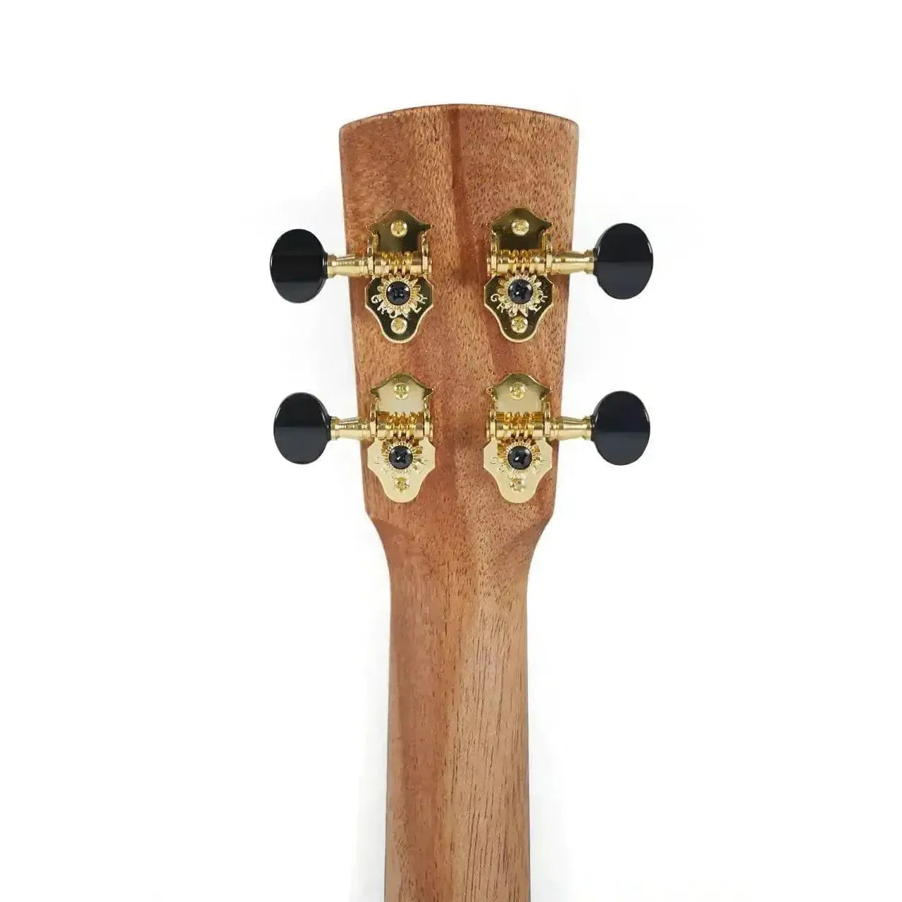 Kala Revelator Nautilus Tenor Ukulele headstock with gold Grover tuners and black knobs.