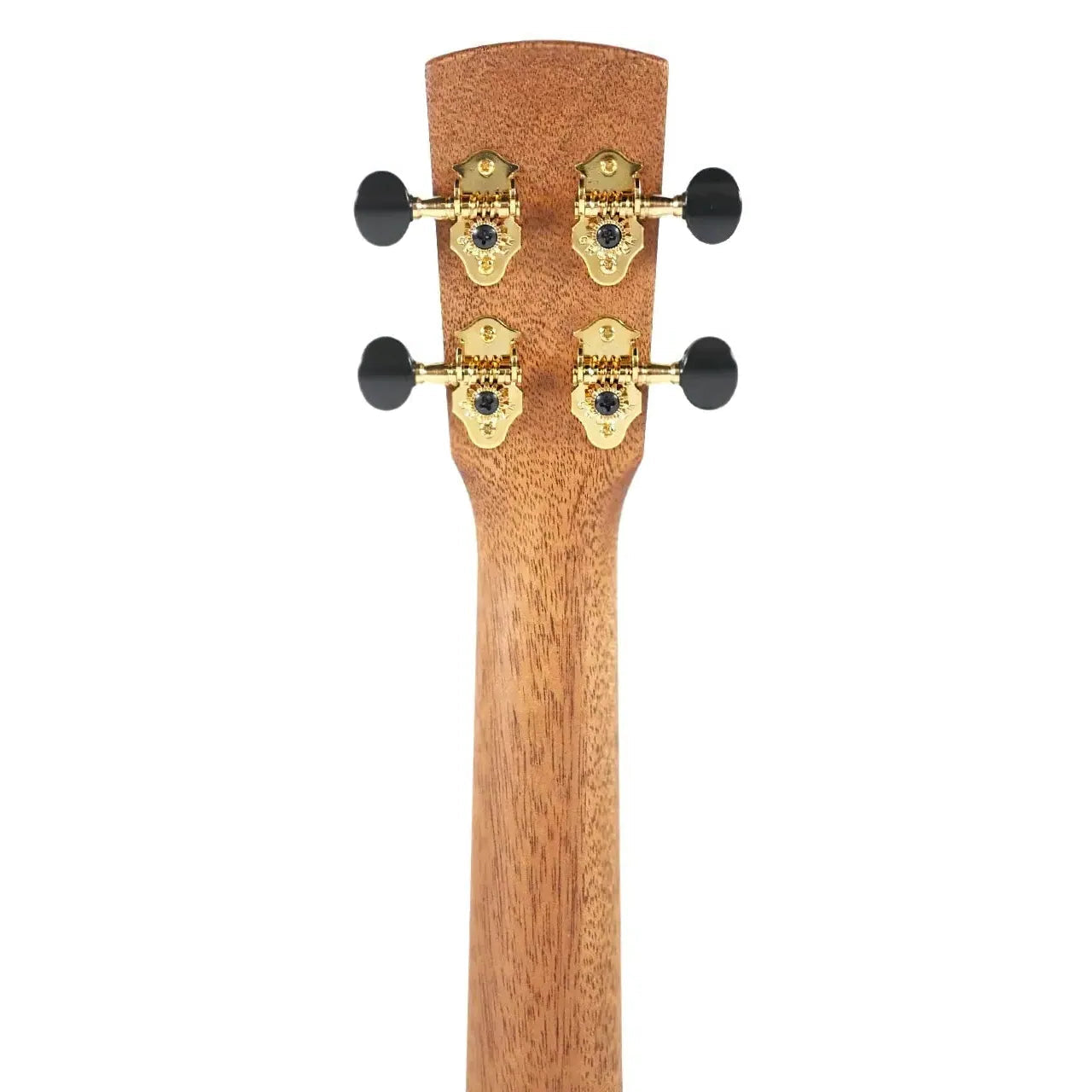 Kala Mango Revelator Nautilus Tenor Ukulele headstock with gold tuners and black buttons.
