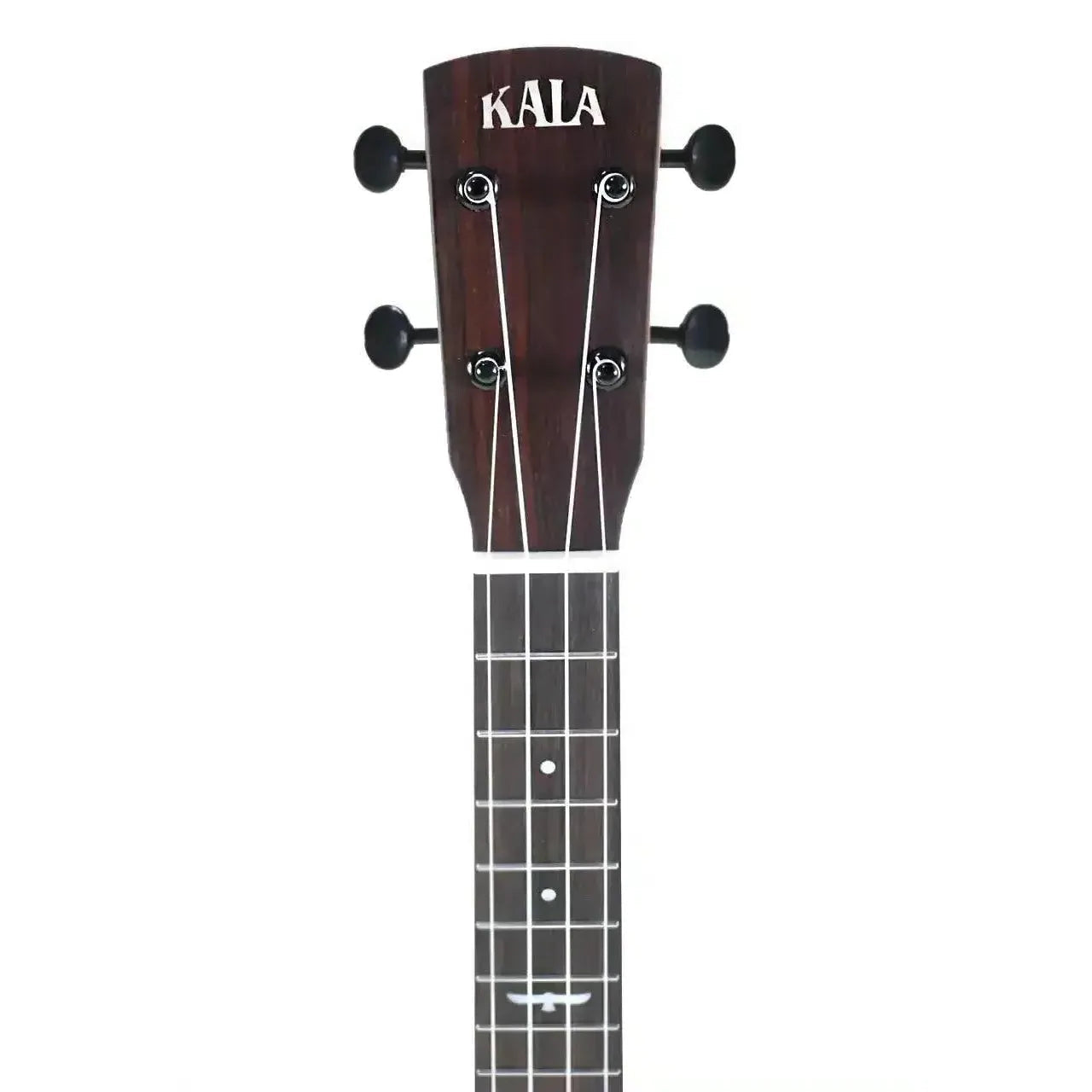 Kala Revelator Night Owl Tenor Ukulele headstock with dark wood, black tuners, and white inlay.