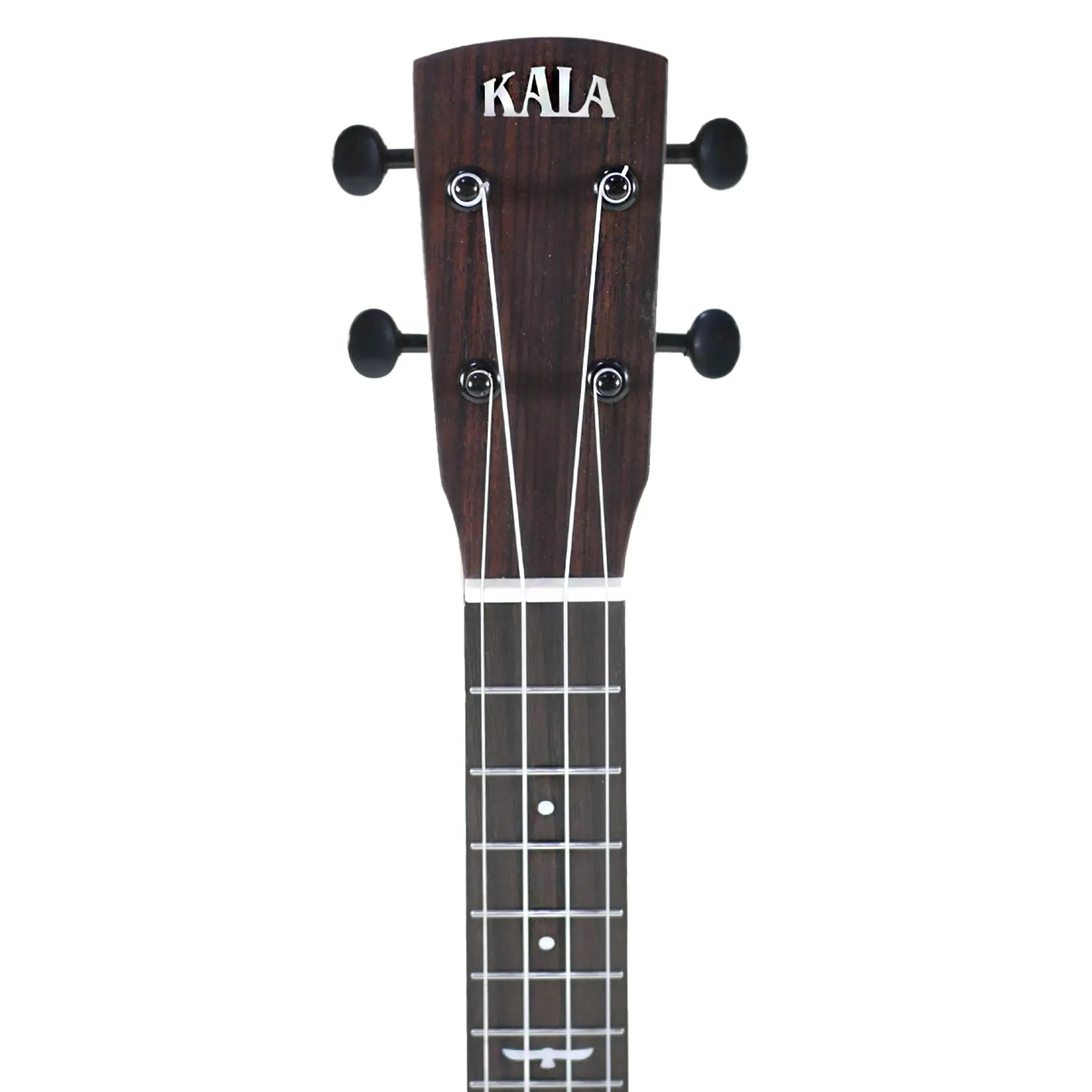 Kala Revelator Night Owl Mango Tenor Ukulele headstock with dark wood, black tuners, and white strings.