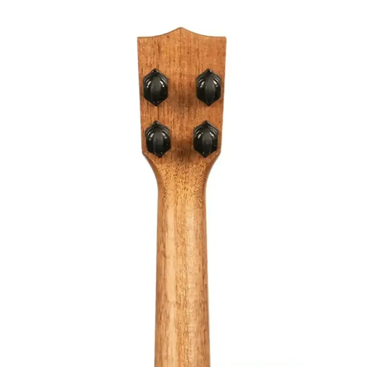 Back of Kala Premier Exotic Bocote Concert Ukulele headstock and mahogany neck with black tuners.