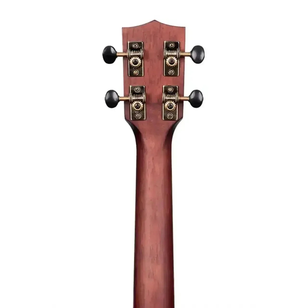 Back of Kala SMH-C Solid Mahogany Concert Ukulele headstock and neck with tuners.