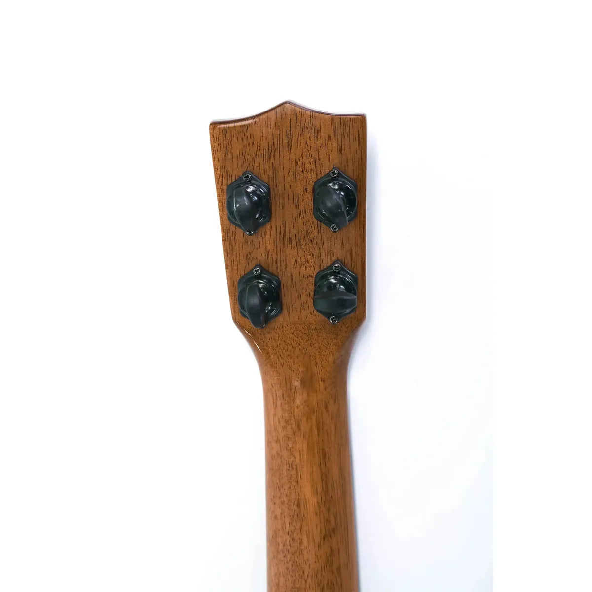 Back of Kala concert ukulele headstock and neck, showing dark tuning pegs on rich brown wood.