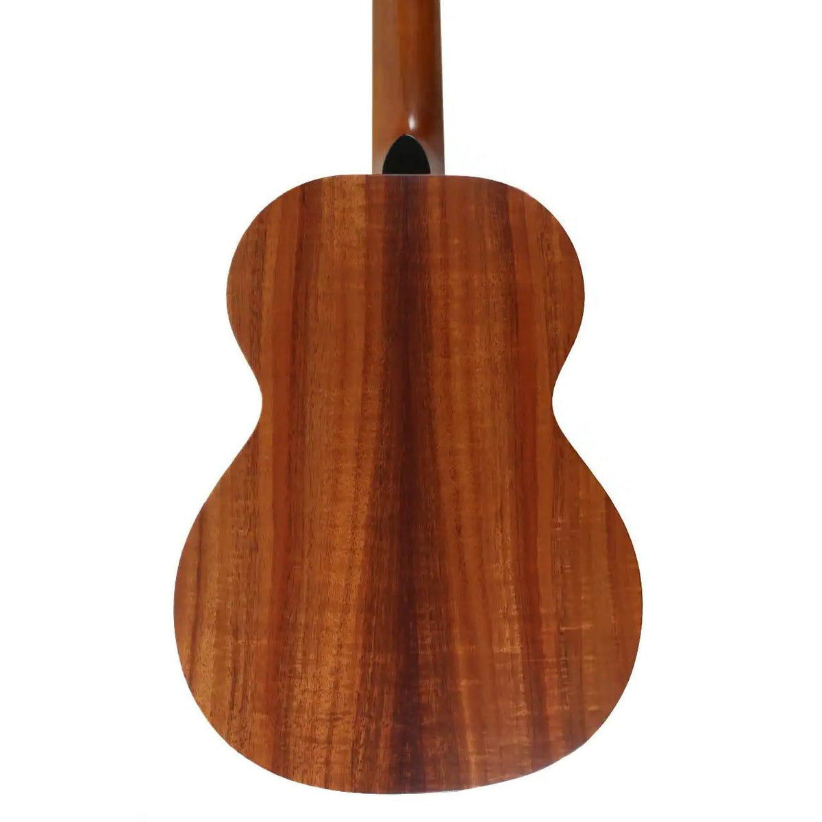 Kamaka HF-3i FEmop+ tenor ukulele body back showing figured Hawaiian koa grain