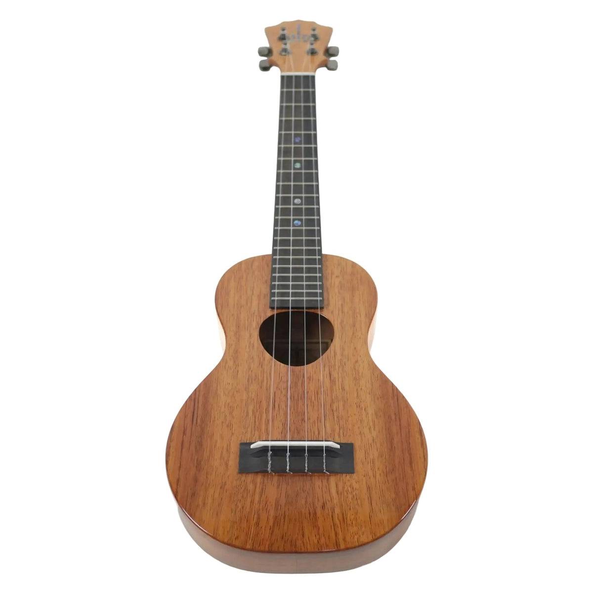 Example photo: KoAloha KCM-02 gloss Hawaiian koa concert tenor neck ukulele, full front view standing upright