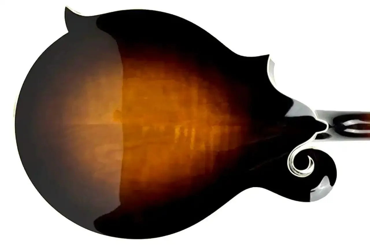 Back of a Kentucky KM-1050 F-Model mandolin with a sunburst flamed maple finish.