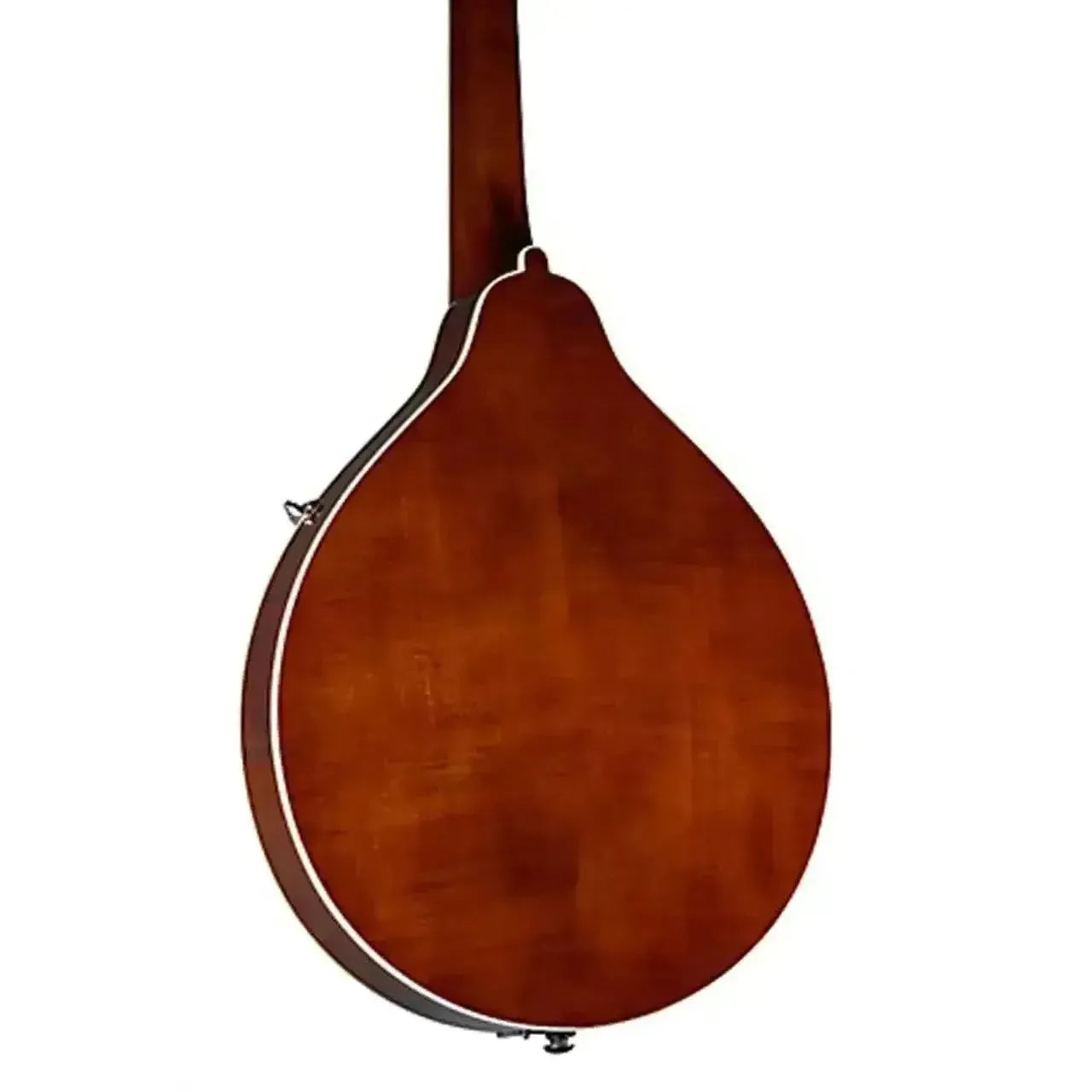 Back of a Kentucky KM-156 A-Model mandolin, showing its brown alpine maple body and neck.