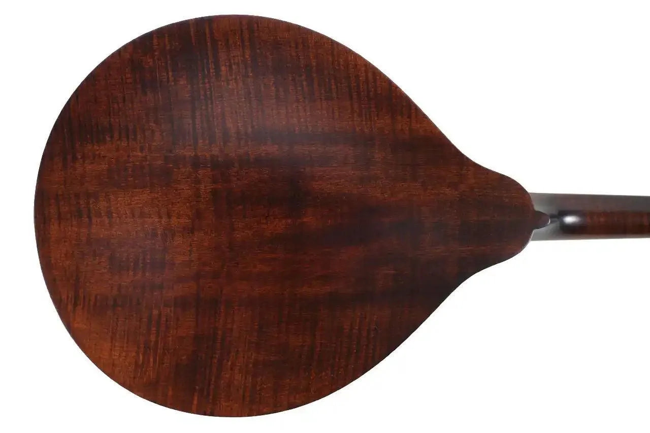 Kentucky KM-206 A-Model mandolin back, showing the satin brown finish and maple wood grain.