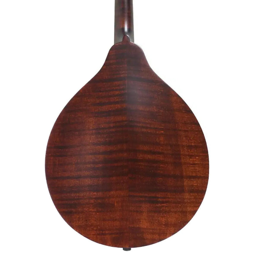 Kentucky KM-226 A-Model mandolin back, showing the satin brown flamed maple.