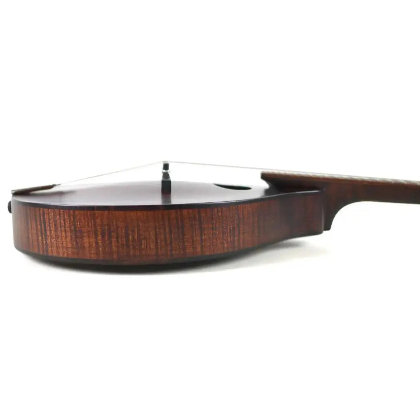 Side view of a Kentucky KM-226 A-Model mandolin with satin brown maple back and sides.