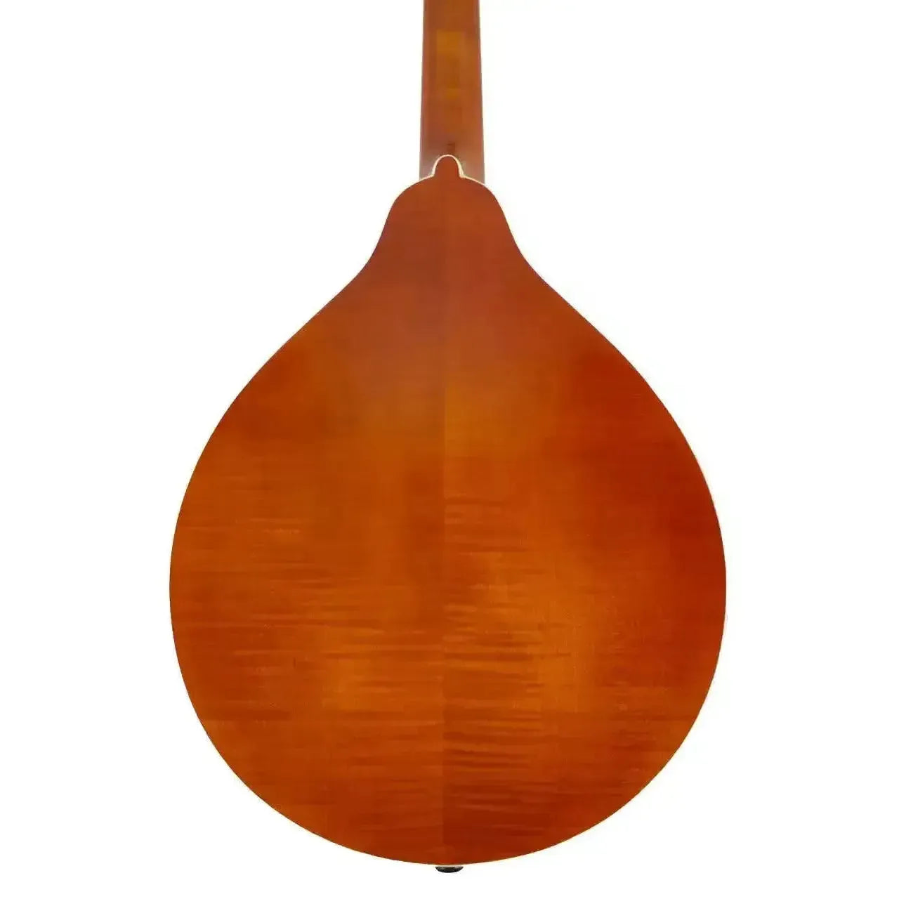 Back of a Kentucky KM-252 A-Model mandolin with high-gloss amber finish and Alpine maple wood grain.