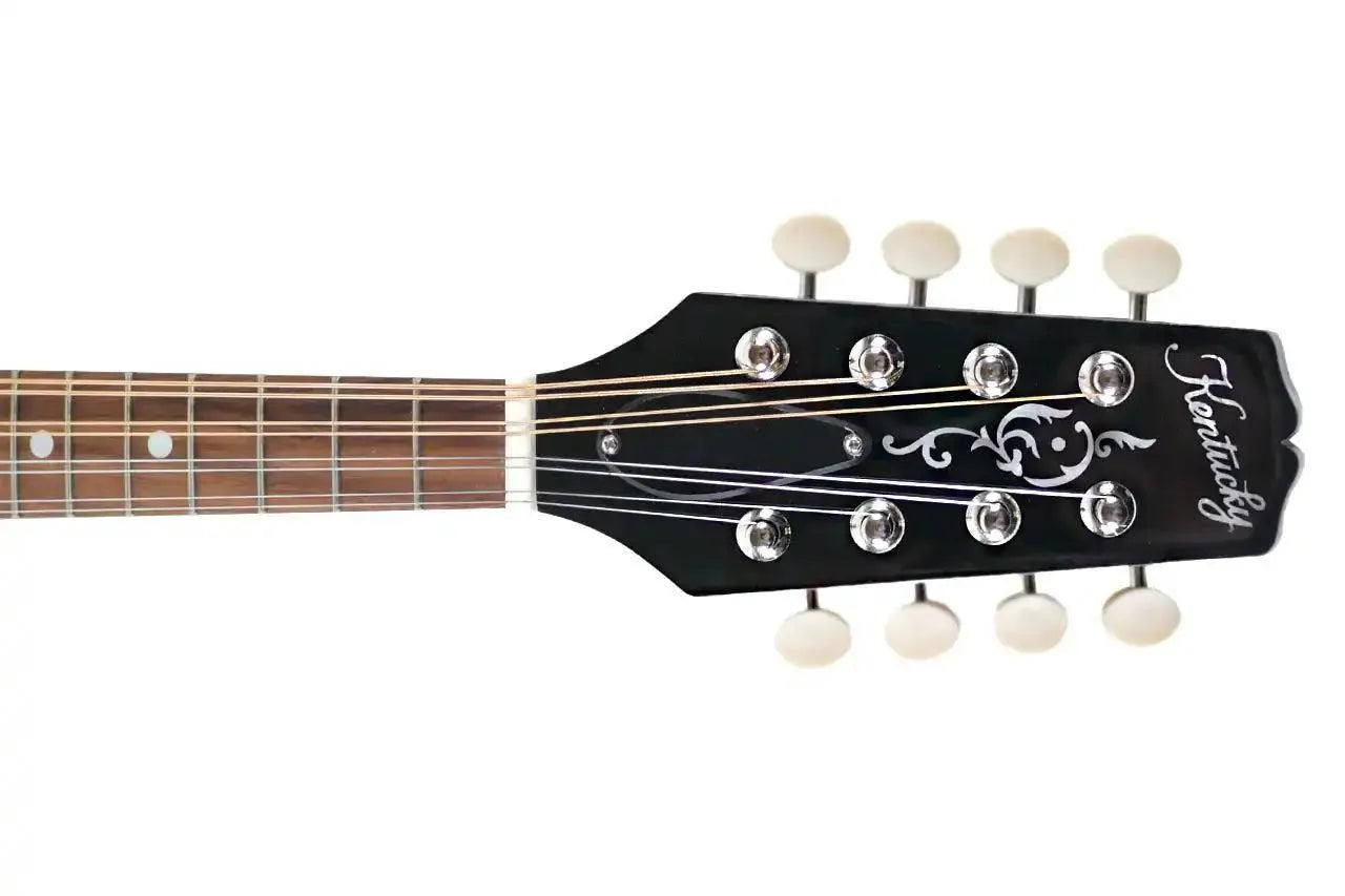 Kentucky KM-256 A-Model mandolin headstock with black finish, white binding, and white-button tuners.