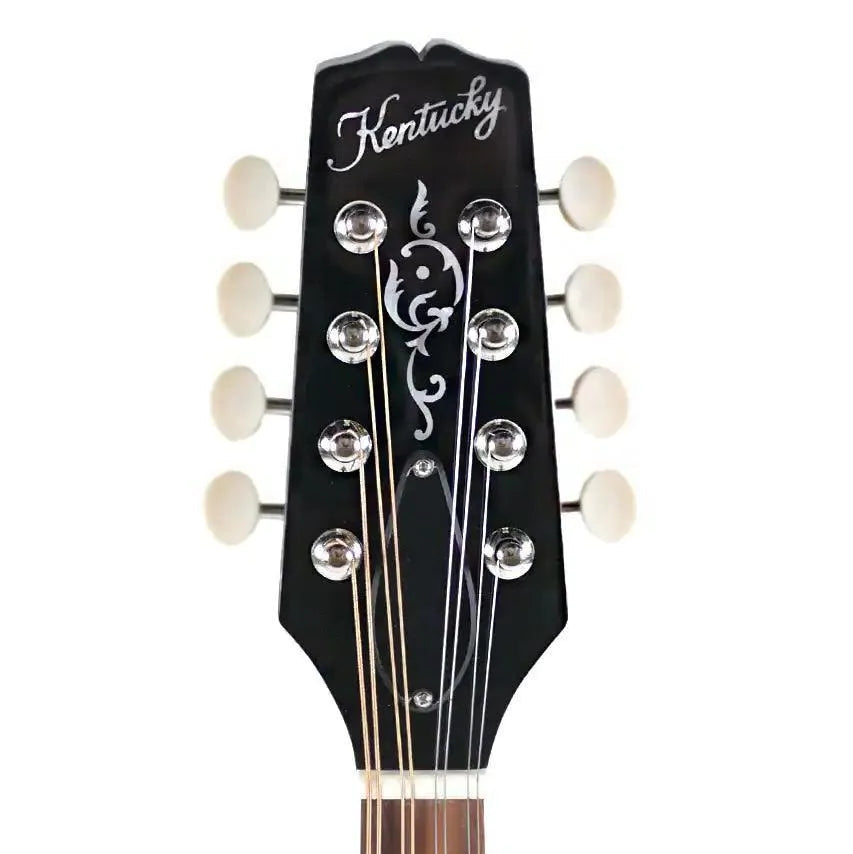 Kentucky KM-256 A-Model mandolin headstock with black finish, white binding, and white-button tuners.