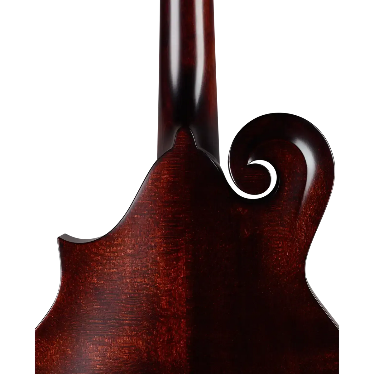 Back of a Kentucky KM-626 F-Model mandolin, showing its satin brown finish and curly maple wood grain.