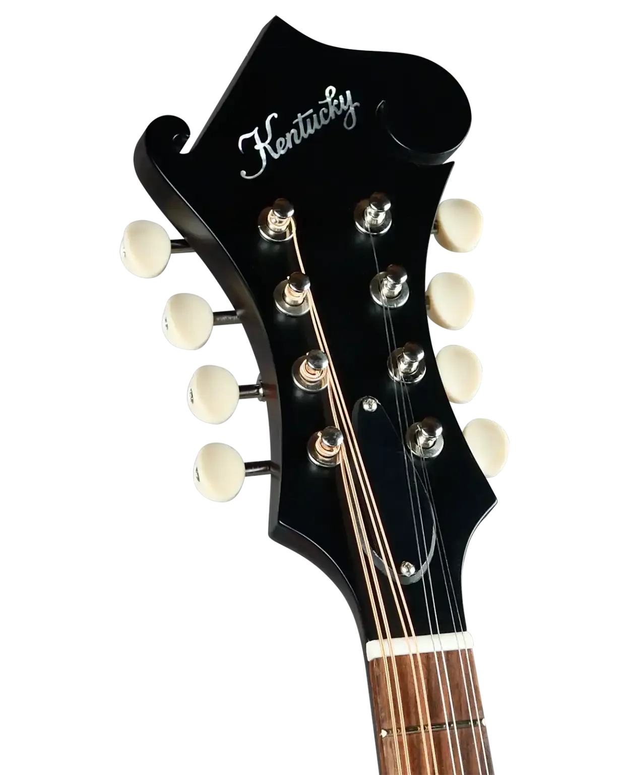 Kentucky mandolin headstock with black finish, white tuning pegs, and "Kentucky" logo.