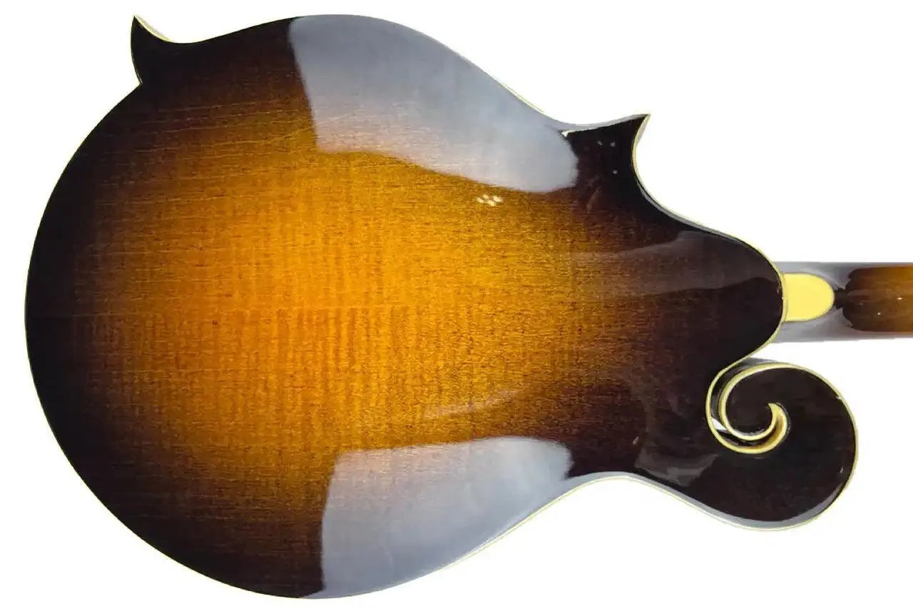 Back of a Kentucky KM-650 F-Model mandolin with traditional sunburst finish and white binding.