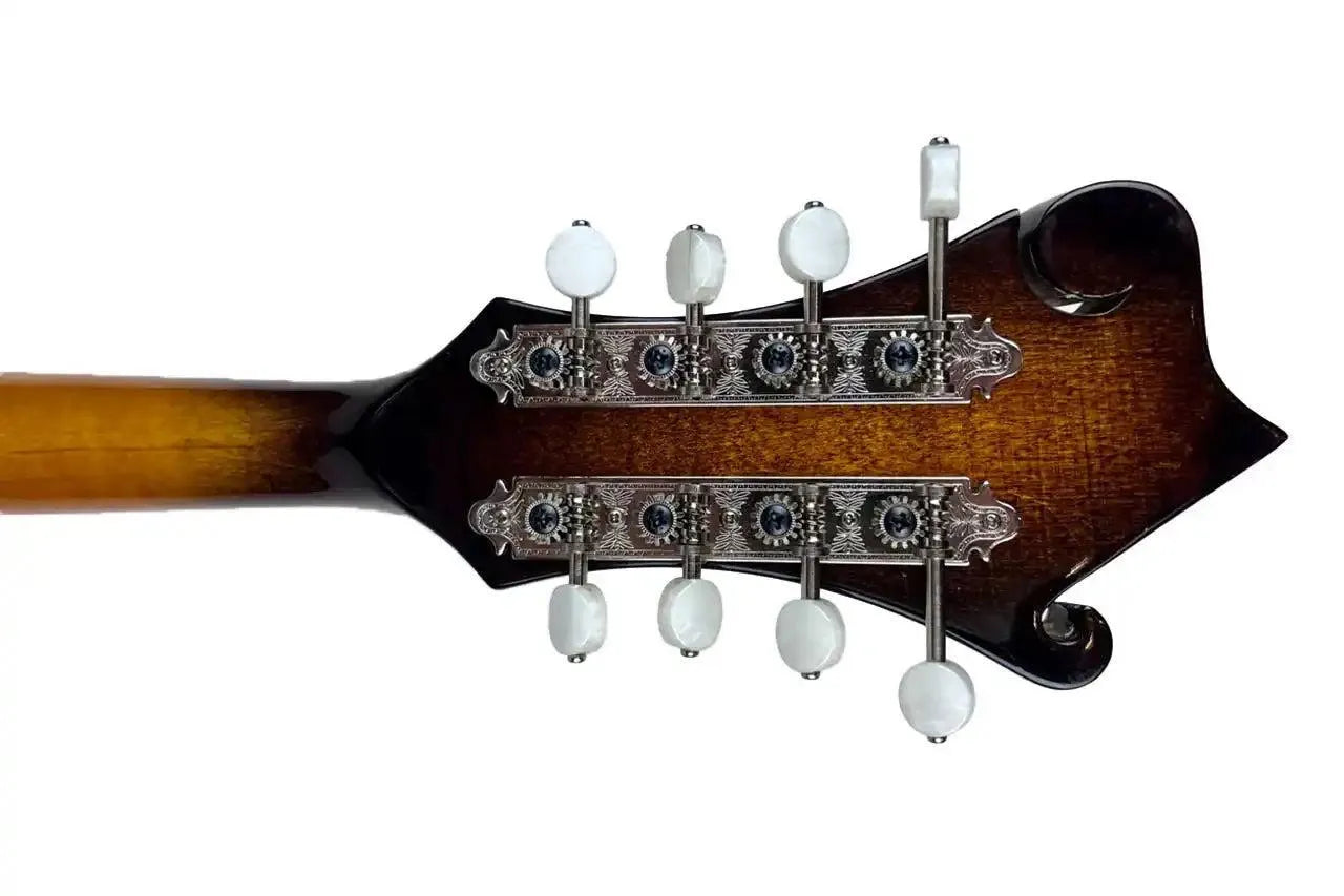 Kentucky KM-650 F-Model mandolin headstock with traditional sunburst finish, white tuners, and nickel hardware.