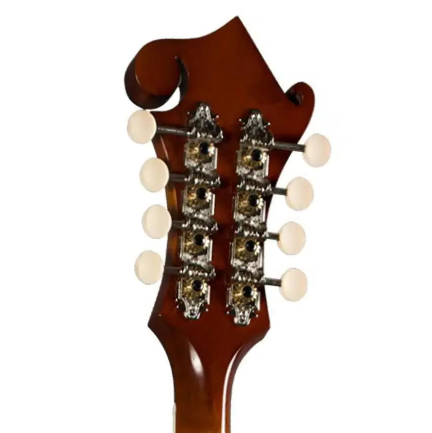 Back of a Kentucky KM-755 F-Model mandolin headstock with amberburst finish and white tuning pegs.