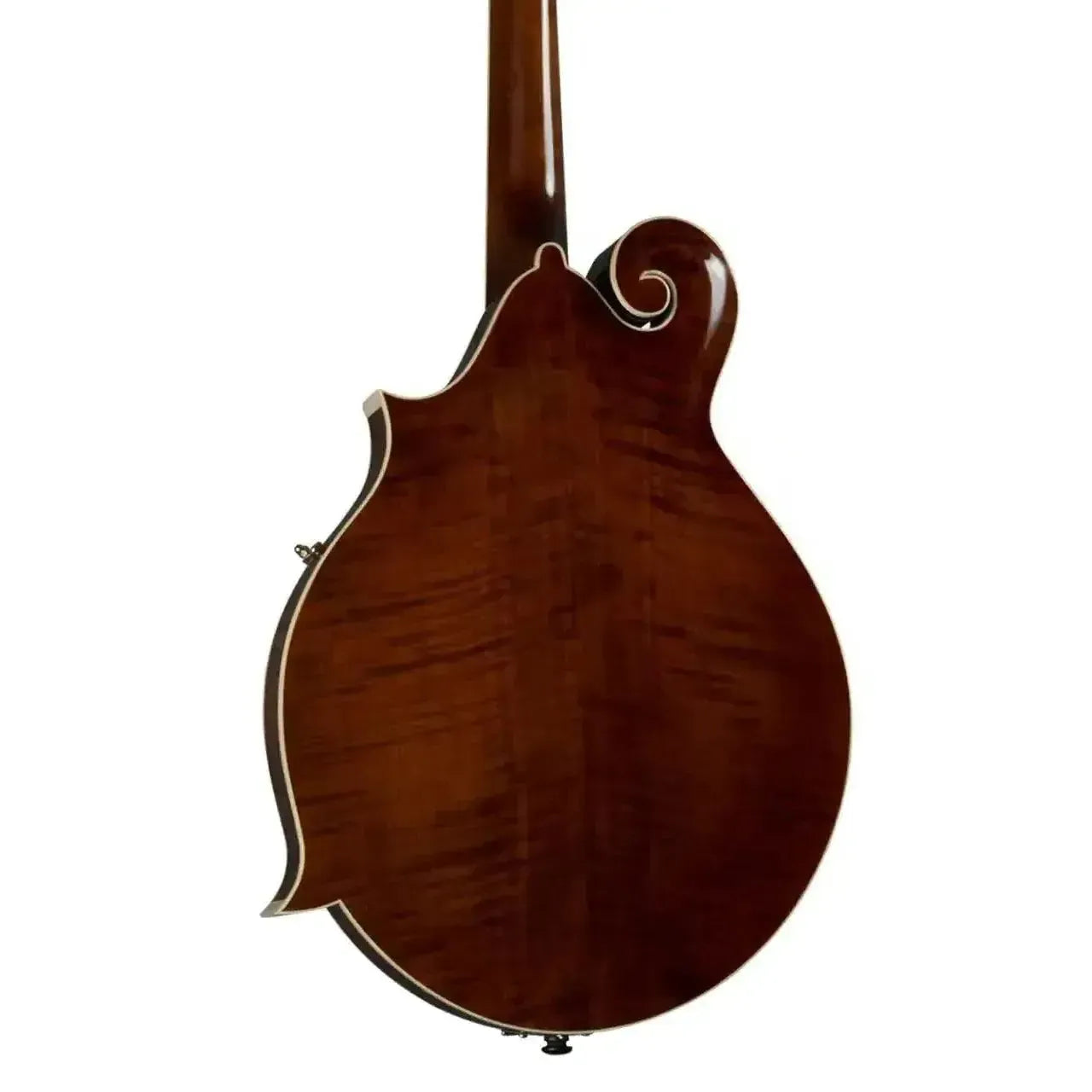 Back of a Kentucky KM-756 F-model mandolin with a high-gloss brown finish and flamed maple.