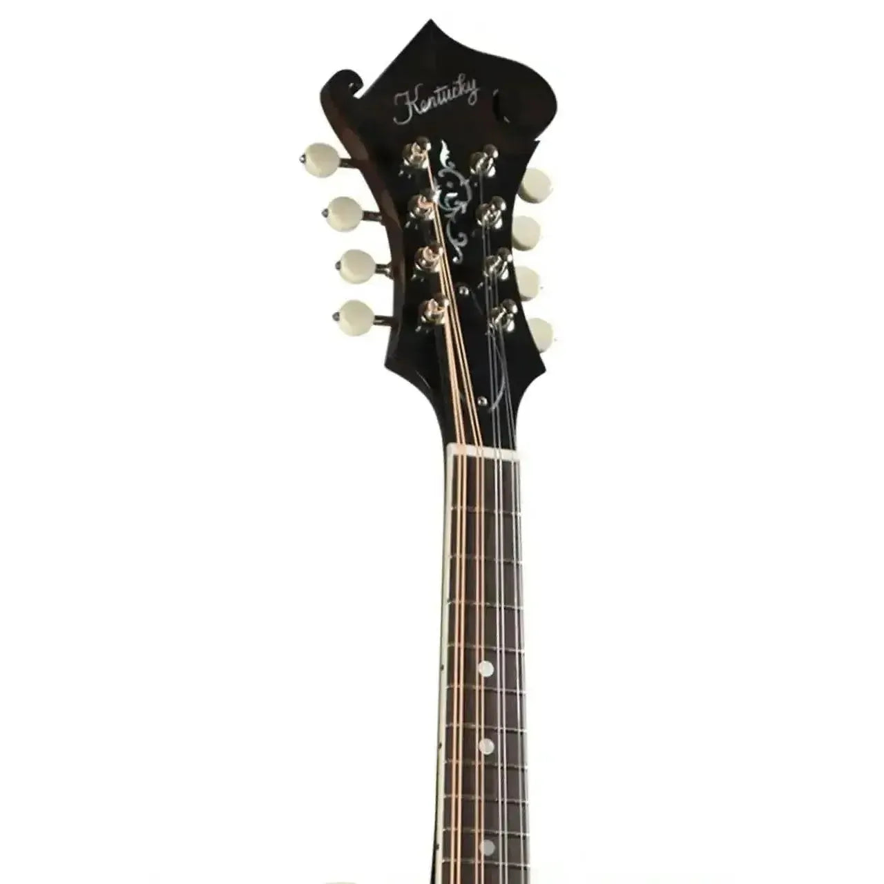 Kentucky KM-756 F-Model mandolin headstock with "Kentucky" logo, tuning pegs, and rosewood fretboard.