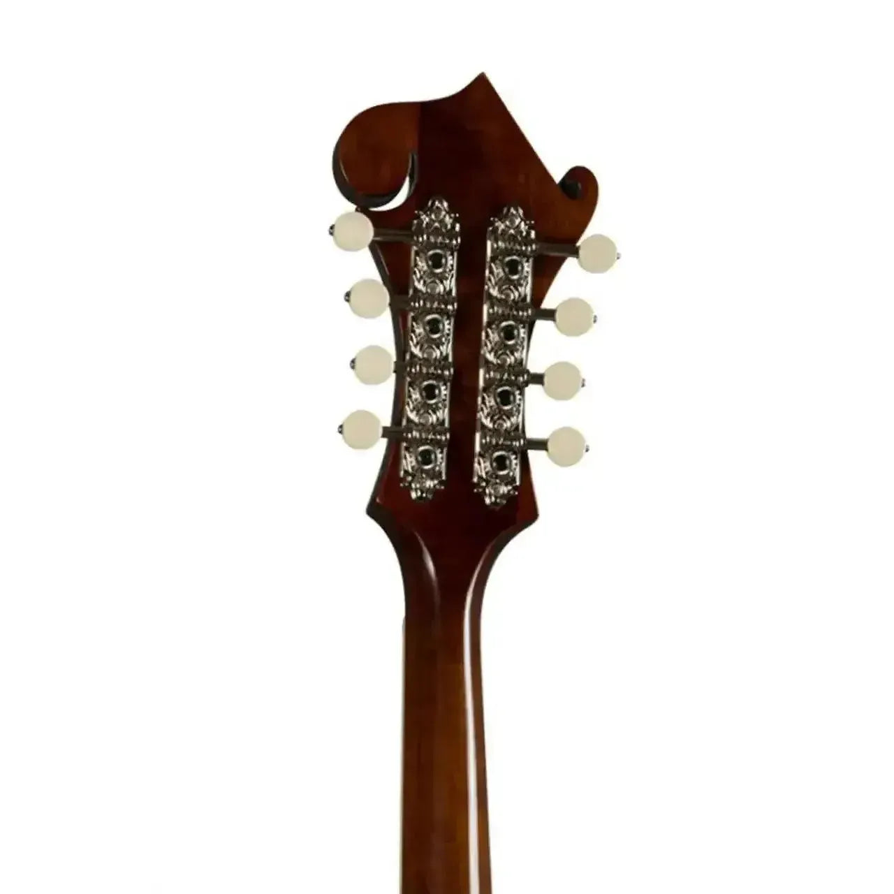Kentucky KM-756 F-Model mandolin headstock with brown finish, nickel-plated tuners, and white buttons.