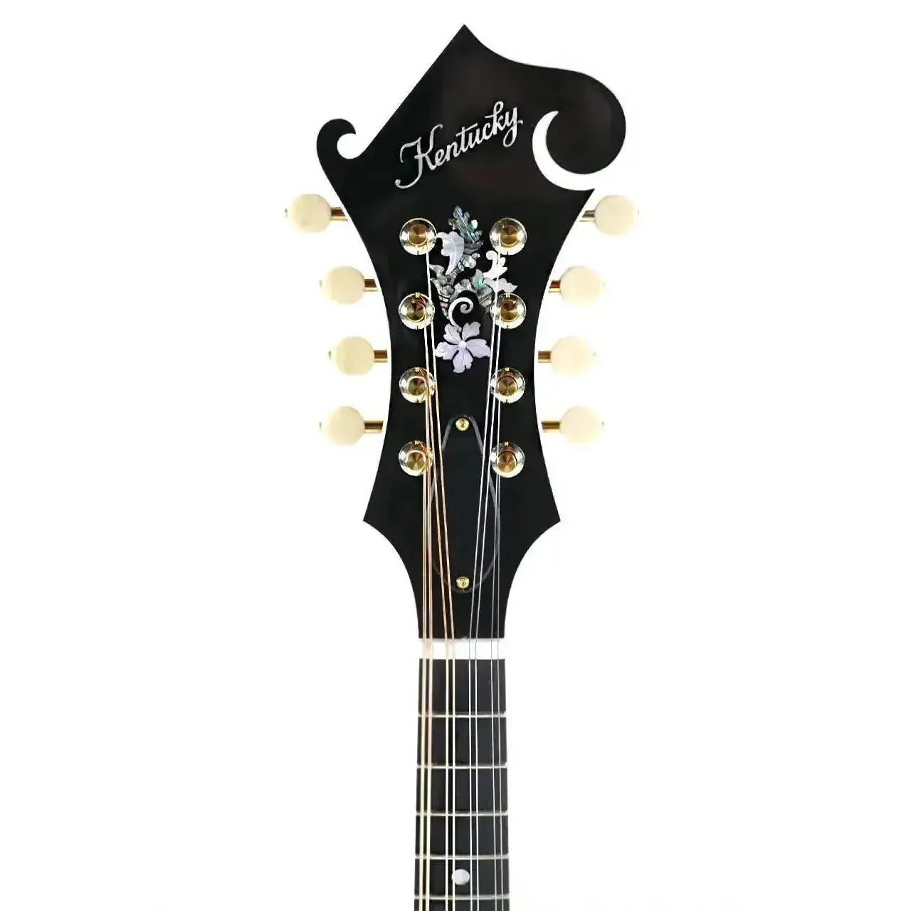 Kentucky KM-855 F-Model mandolin headstock with "Kentucky" logo, floral inlays, and cream tuning pegs.
