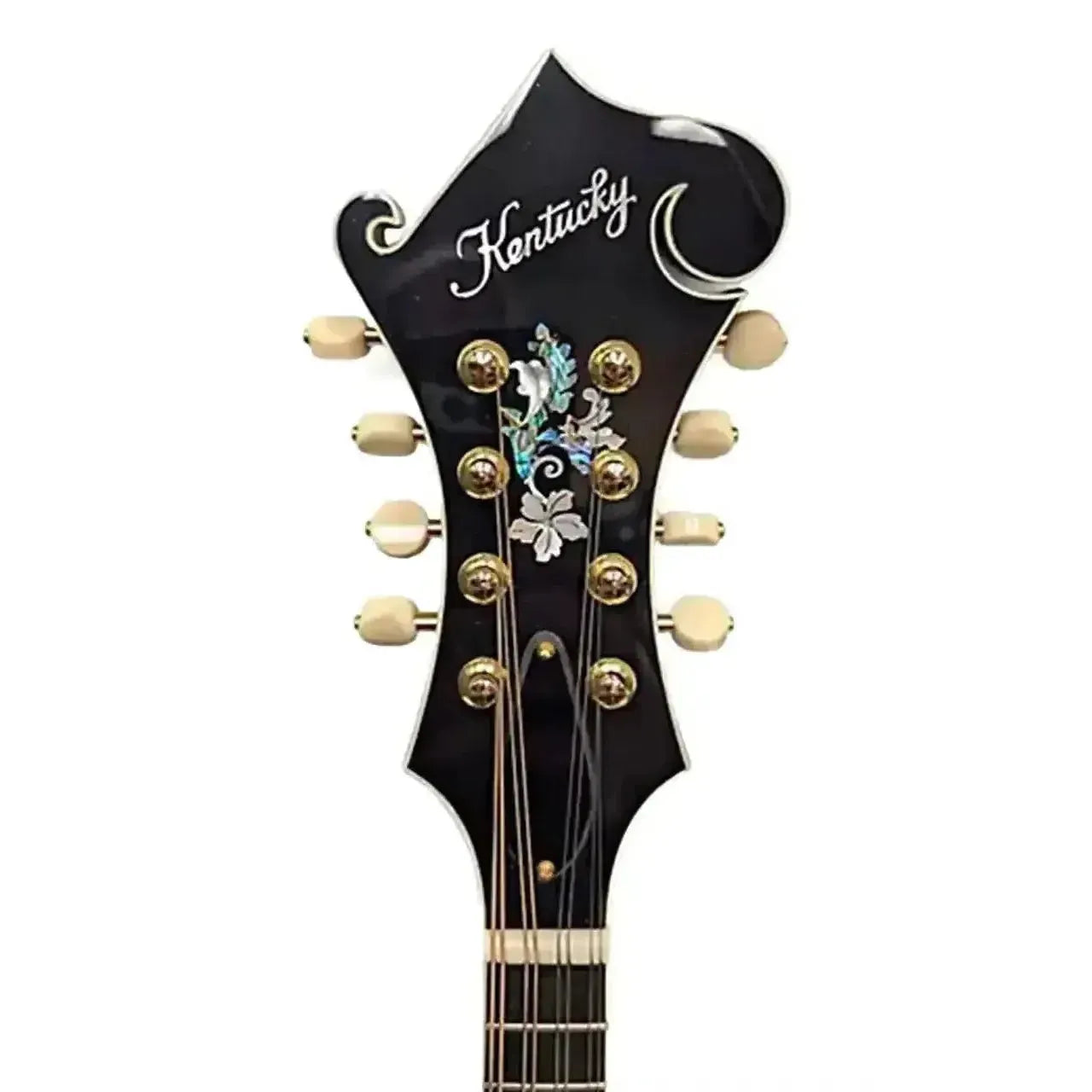 Kentucky KM-858 F-Model mandolin headstock with "Kentucky" script, ornate abalone inlay, and gold tuners.