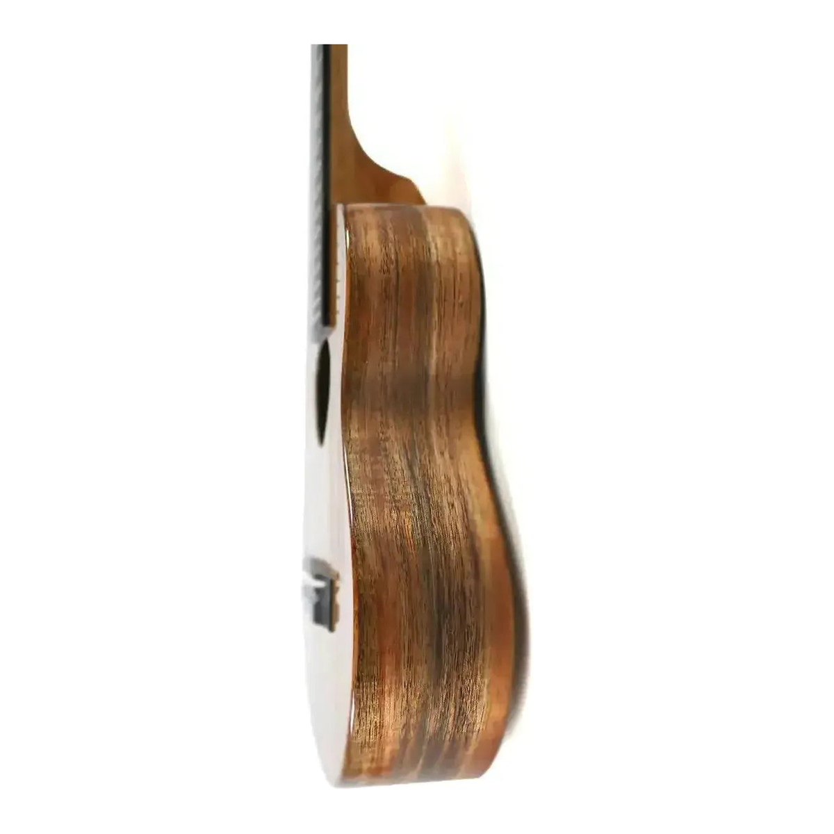 Side view of the KoAloha KTM-00D6 Gloss 6-String Guilele body standing upright, showing solid koa sidewall grain