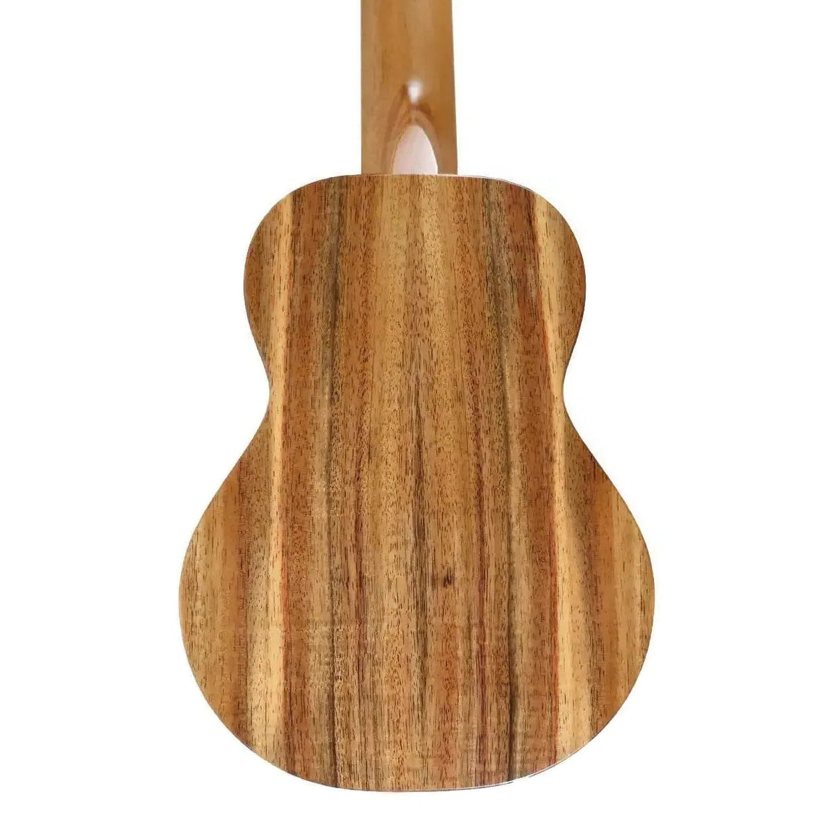 Back of the KoAloha KTM-10D6 Satin 6-String Guilele showing solid Hawaiian koa grain